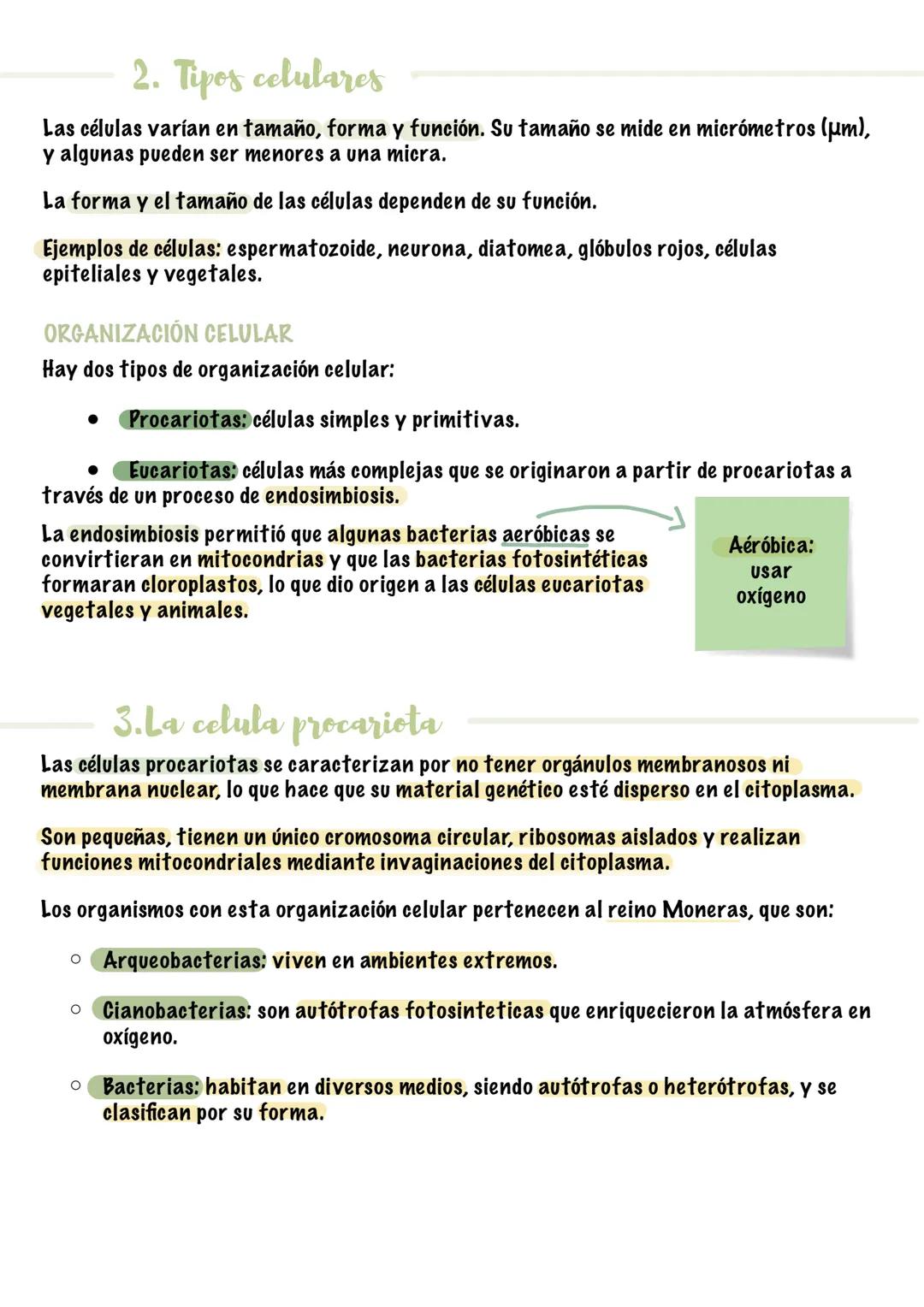4. La celula
1. Estructura cerolar y funciones
• Todos los seres vivos están formados por una o más células.
•
●
La célula es la unidad más