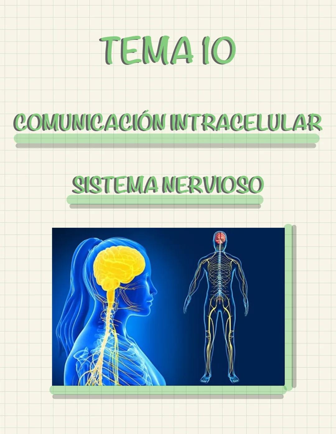 # TEMA 10
COMUNICACIÓN INTRACELULAR
SISTEMA NERVIOSO El sistema nervioso no es una red continua sino que está formado por células individu