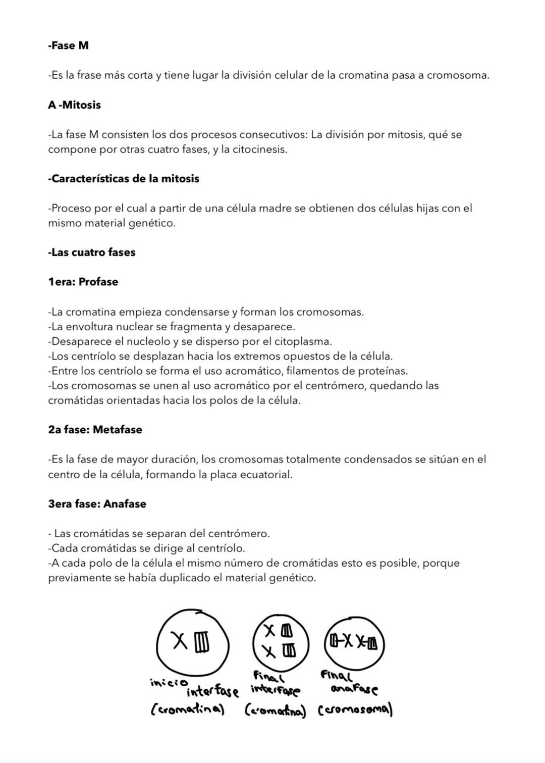 LA CELULA
1- TEORIA CELULAR
La célula unidad estructural
-Todos los seres vivos estamos formados por células.
-Los organimismos unicelular