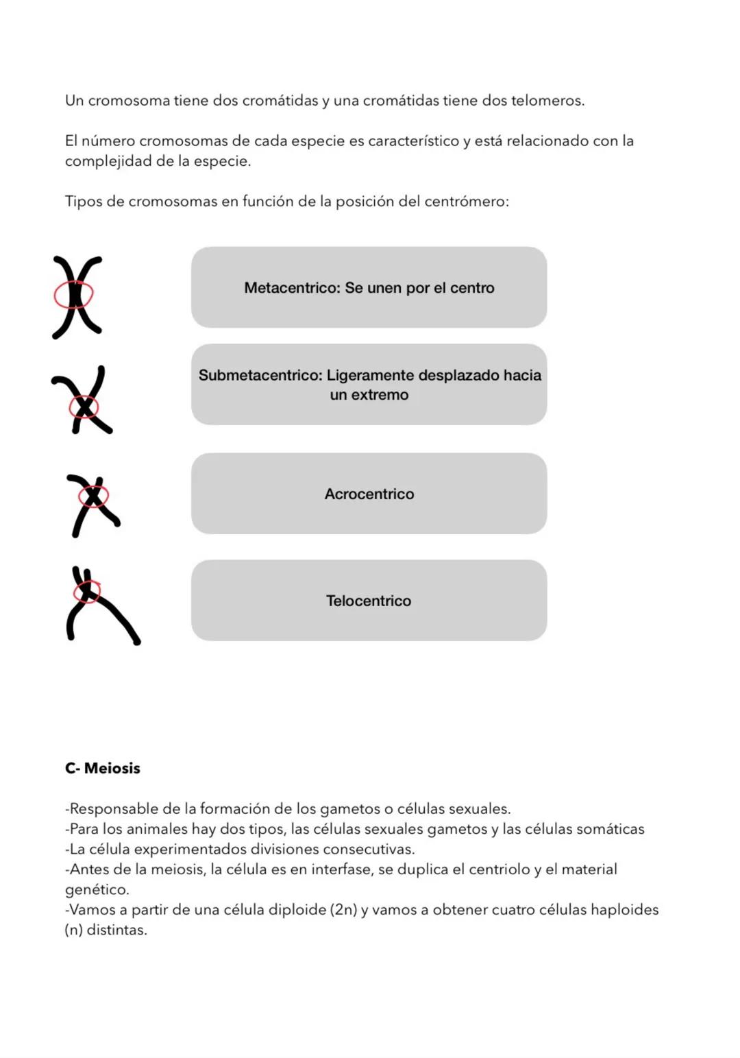 LA CELULA
1- TEORIA CELULAR
La célula unidad estructural
-Todos los seres vivos estamos formados por células.
-Los organimismos unicelular