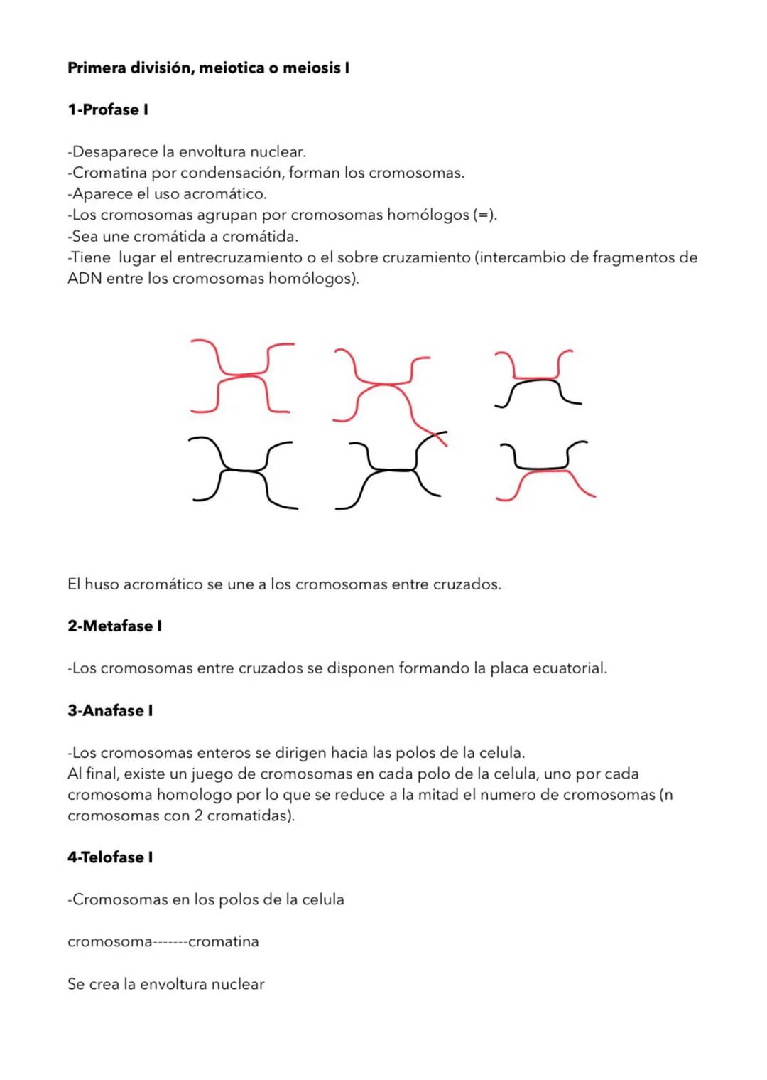 LA CELULA
1- TEORIA CELULAR
La célula unidad estructural
-Todos los seres vivos estamos formados por células.
-Los organimismos unicelular