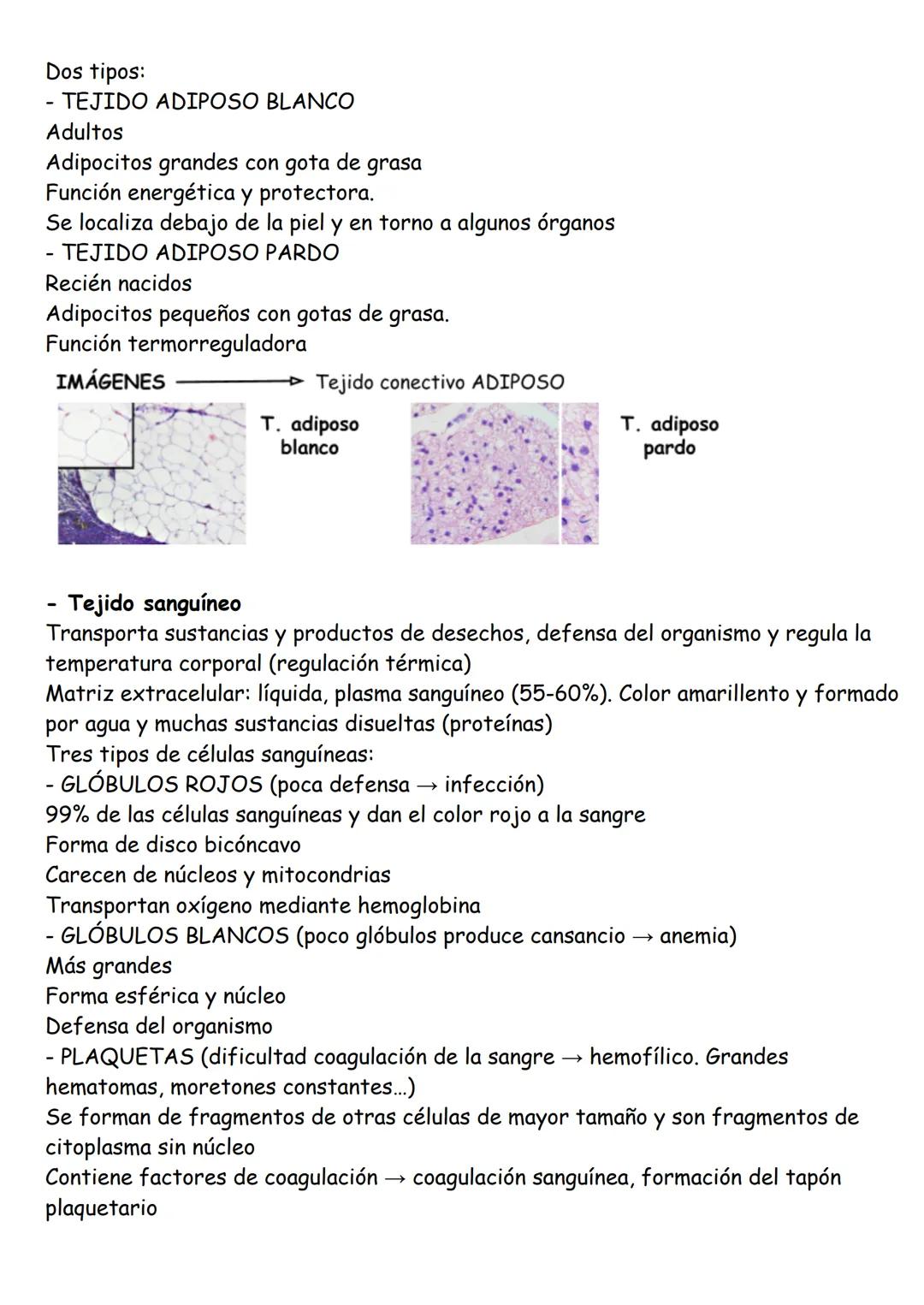 ANATOMÍA TEMA 1: Organización básica del cuerpo humano
LOS NIVELES DE ORGANIZACIÓN
Cada uno de los grados en los que se organiza la materia