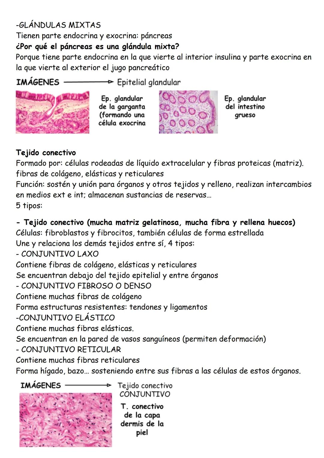 ANATOMÍA TEMA 1: Organización básica del cuerpo humano
LOS NIVELES DE ORGANIZACIÓN
Cada uno de los grados en los que se organiza la materia