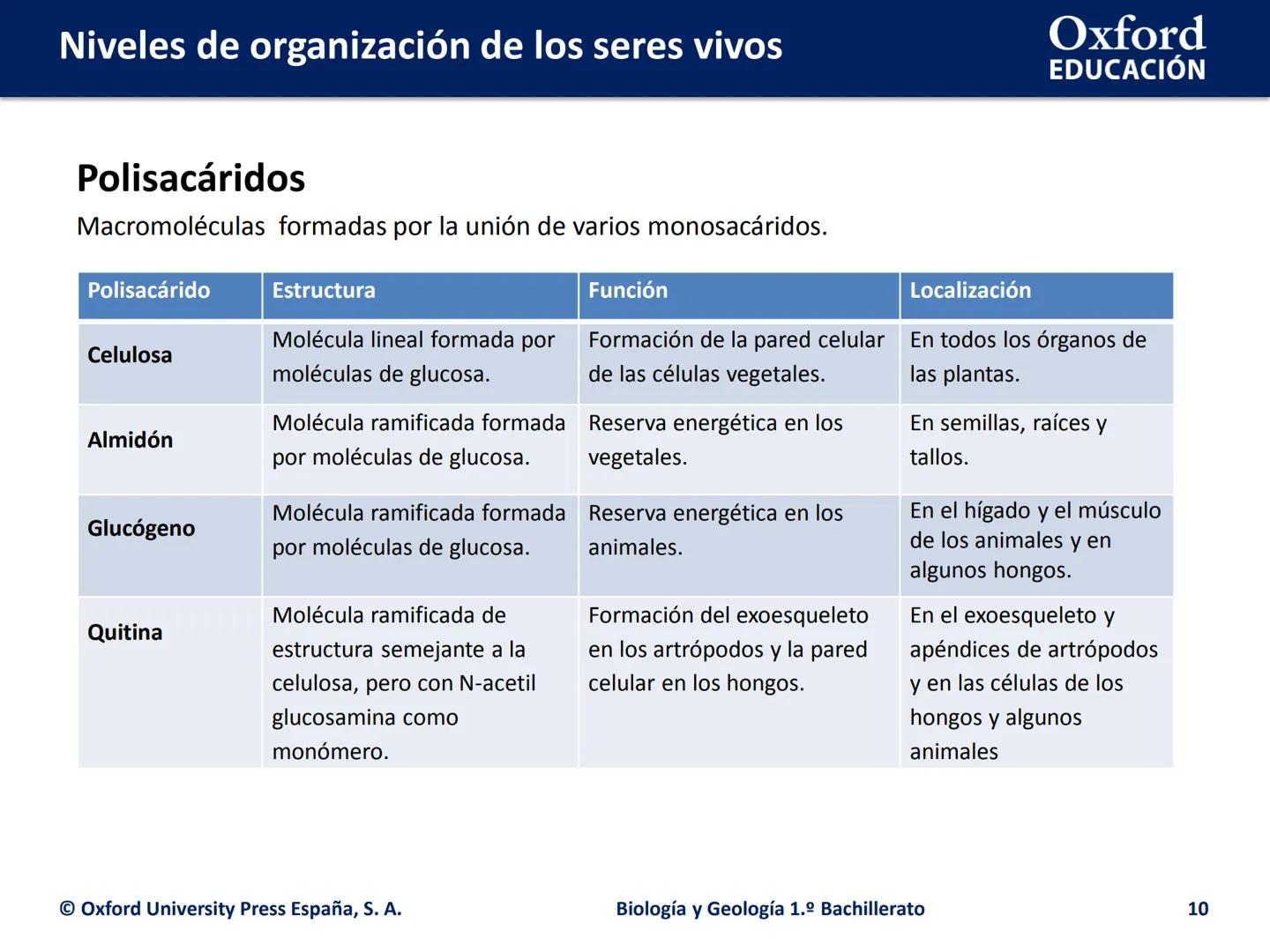 Oxford
EDUCACIÓN
# Niveles de organización
de los seres vivos
Biología y Geología
1.º Bachillerato
DOMI MINA # Niveles de organización de