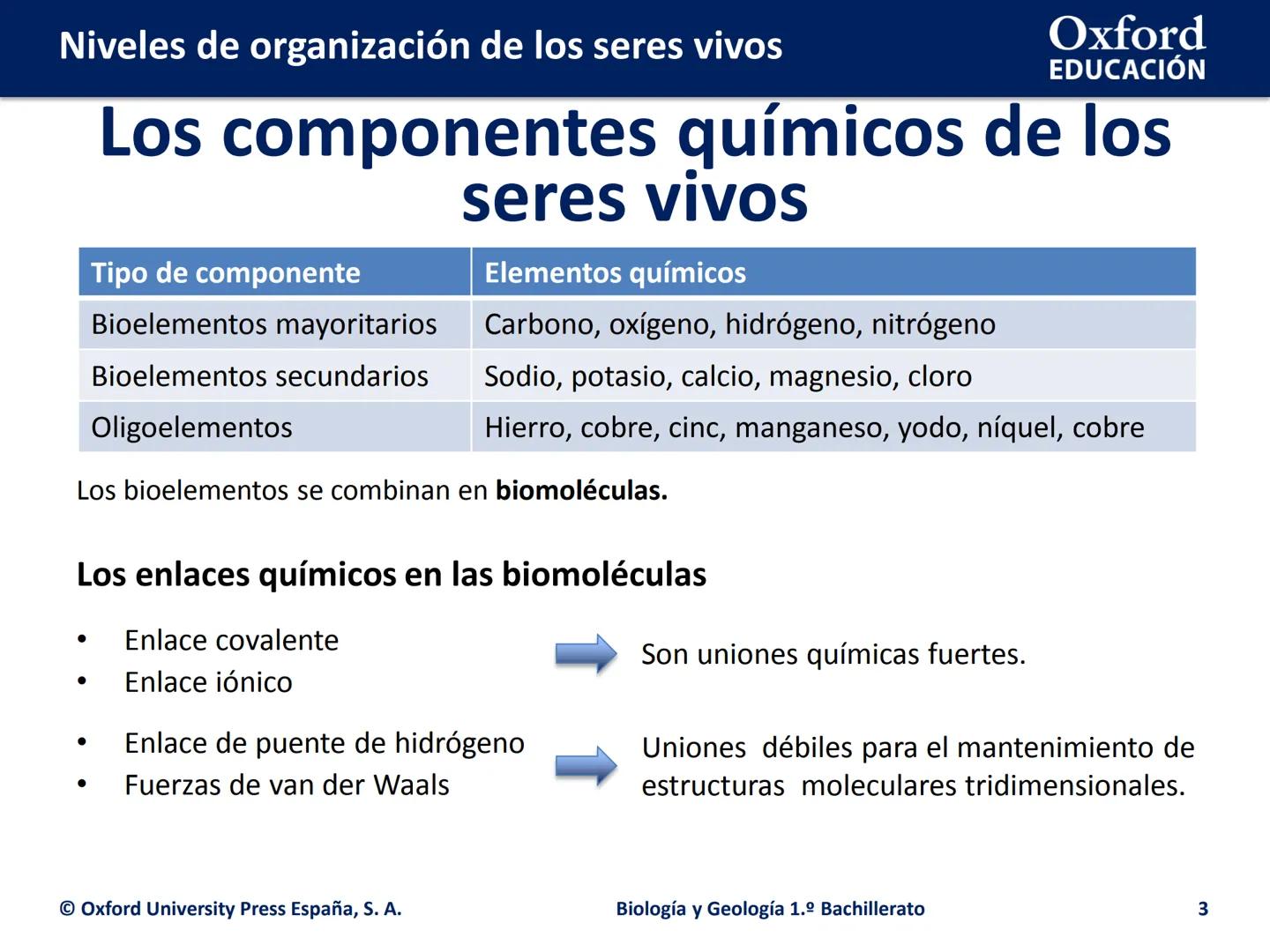 Oxford
EDUCACIÓN
# Niveles de organización
de los seres vivos
Biología y Geología
1.º Bachillerato
DOMI MINA # Niveles de organización de
