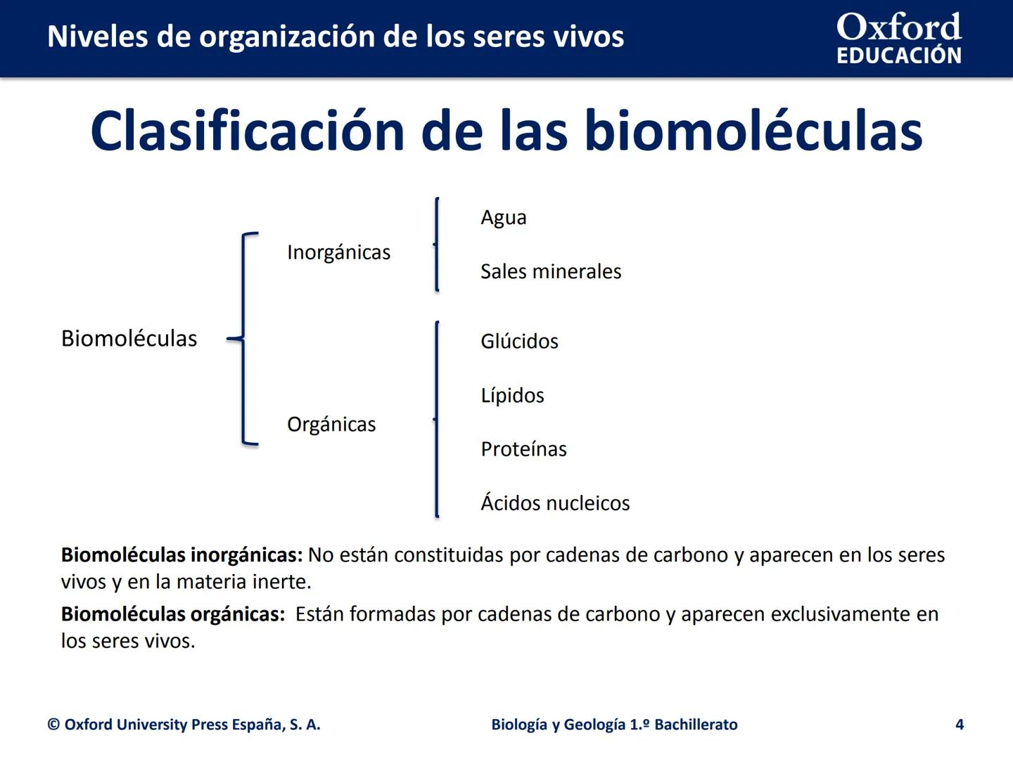 Oxford
EDUCACIÓN
# Niveles de organización
de los seres vivos
Biología y Geología
1.º Bachillerato
DOMI MINA # Niveles de organización de