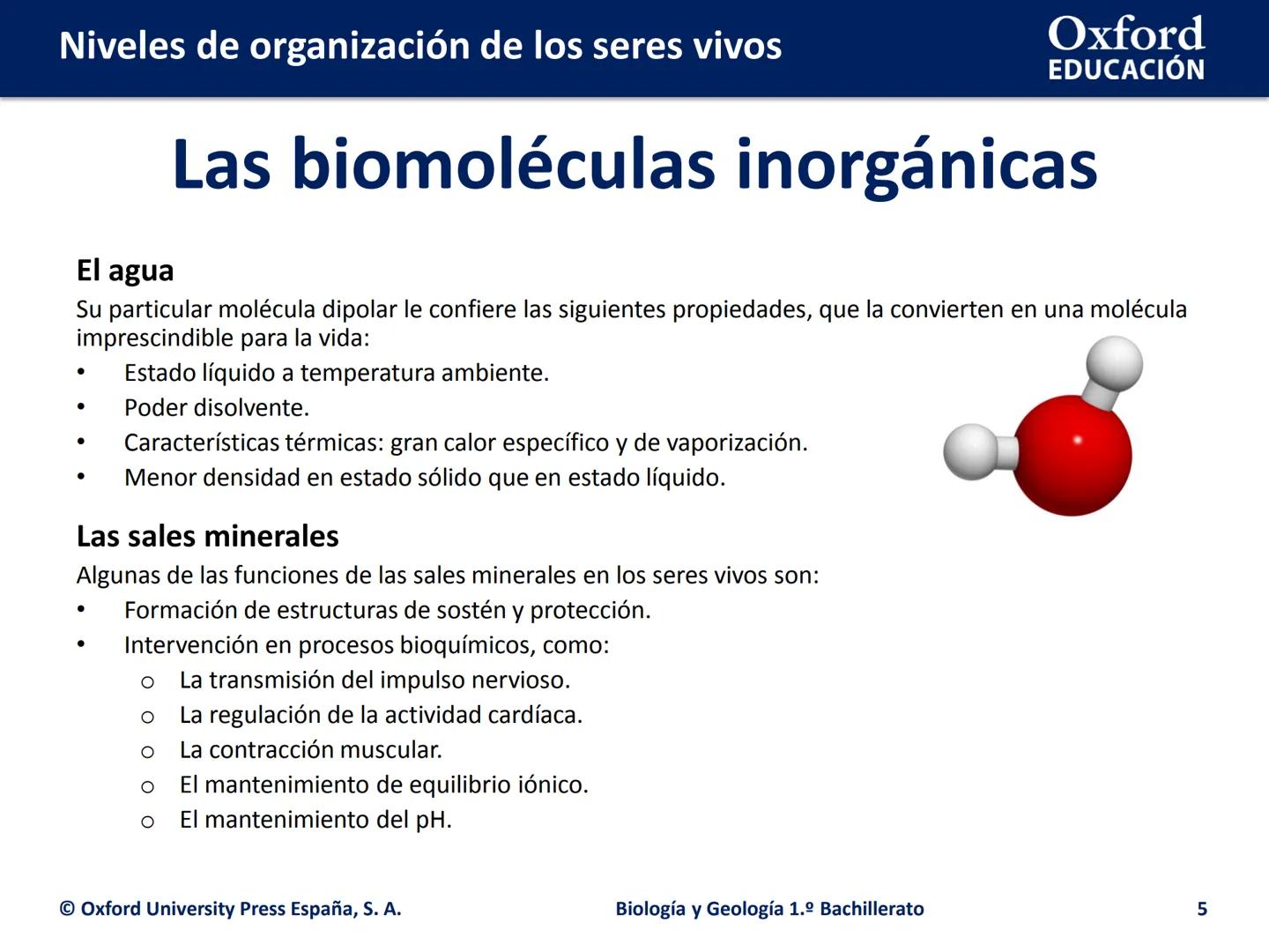 Oxford
EDUCACIÓN
# Niveles de organización
de los seres vivos
Biología y Geología
1.º Bachillerato
DOMI MINA # Niveles de organización de