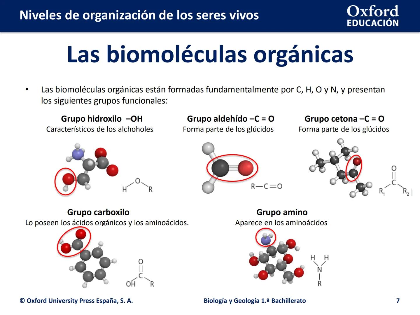 Oxford
EDUCACIÓN
# Niveles de organización
de los seres vivos
Biología y Geología
1.º Bachillerato
DOMI MINA # Niveles de organización de