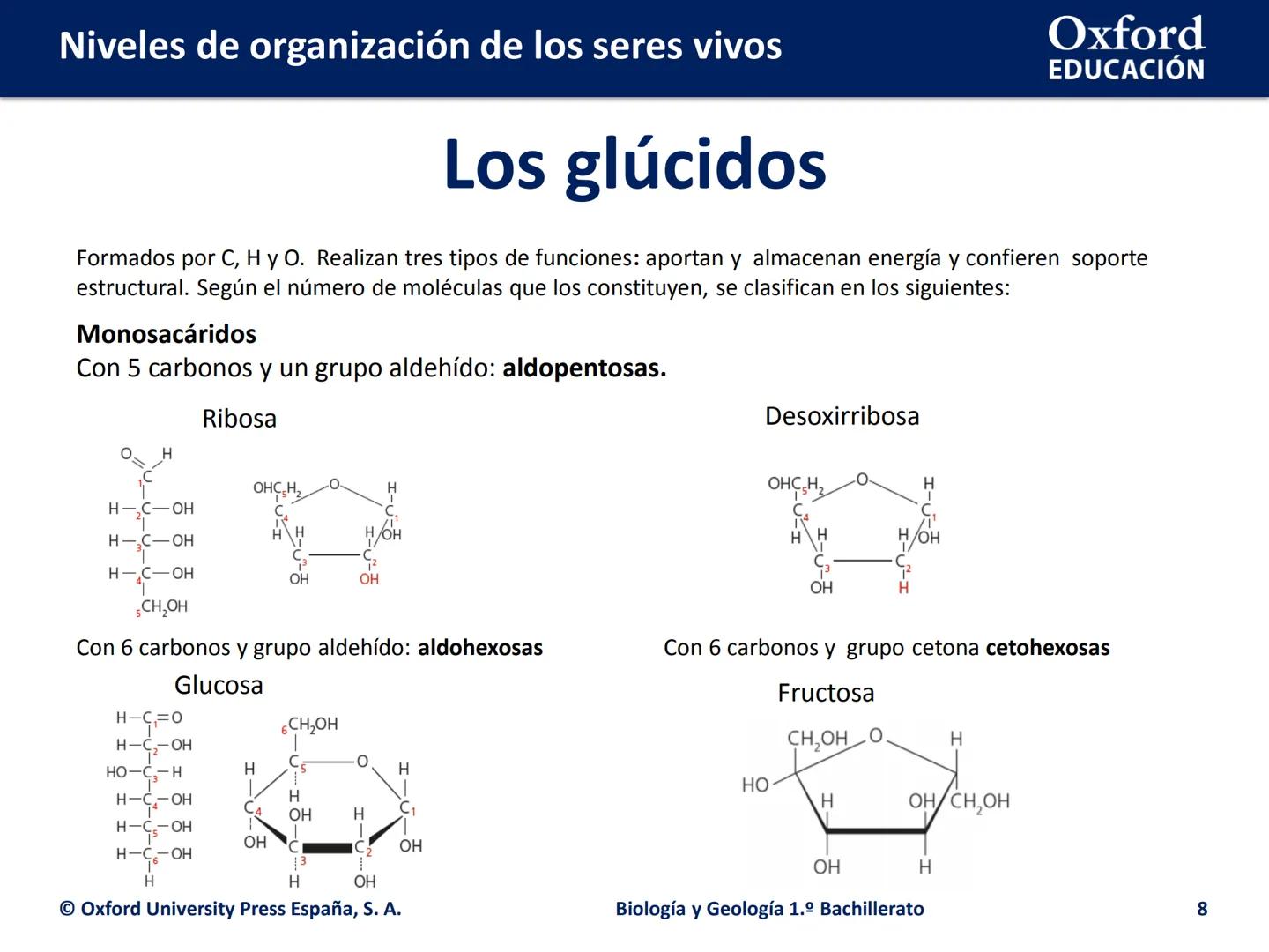 Oxford
EDUCACIÓN
# Niveles de organización
de los seres vivos
Biología y Geología
1.º Bachillerato
DOMI MINA # Niveles de organización de