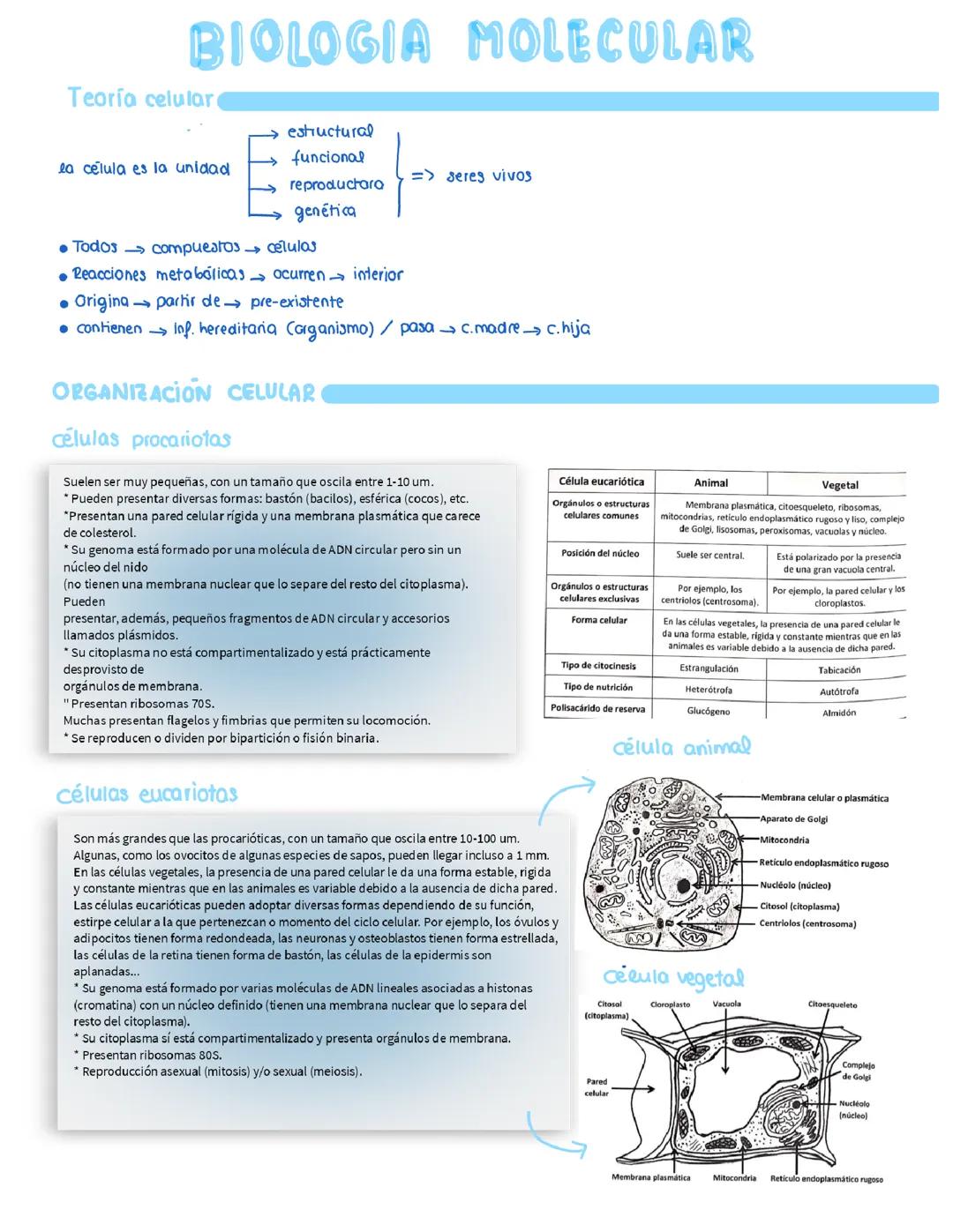 Biología Molecular