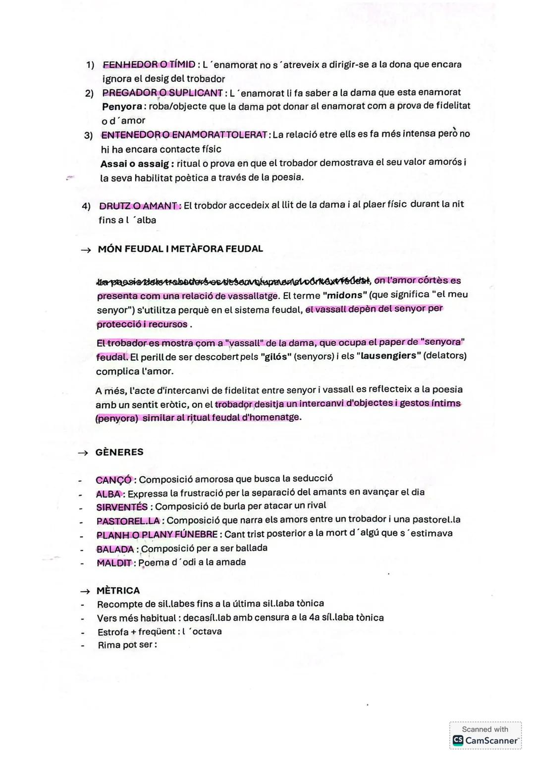 3- Literatura
• LA LÍRICA TROBADORESCA
La literatura del trobadors va aparèixer a Europa en el context del sistema de les corts feudals
→