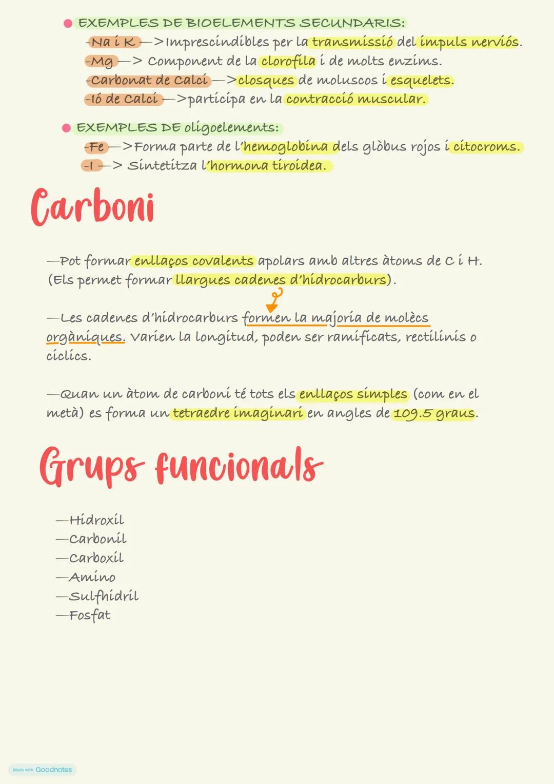 # Característiques dels E.V
Realitzen les tres funcions vitals:
NUTRICIÓ: Intercanvien energia i materia amb el seu entorn, processar-la i