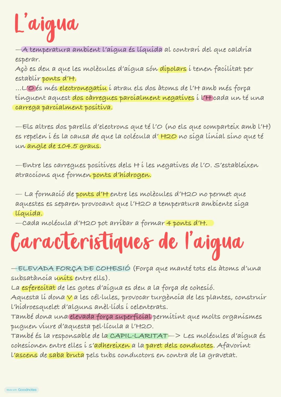 # Característiques dels E.V
Realitzen les tres funcions vitals:
NUTRICIÓ: Intercanvien energia i materia amb el seu entorn, processar-la i