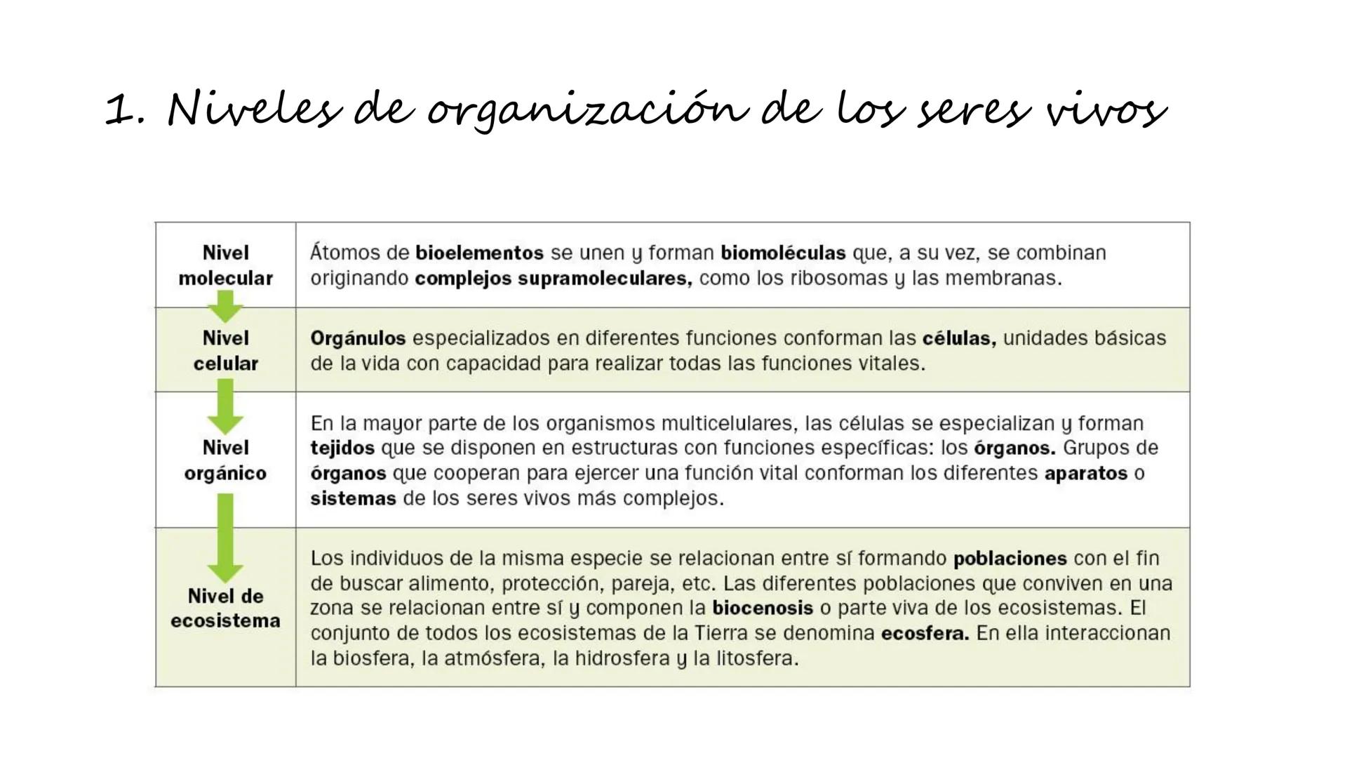 Carbohydrate
@amoebasisters
Nucleic Acid
Lipid
Protein
BIOMOLECULE BROS!
Tema 7
Introducción: La
unidad estructural y
funcional de la vid