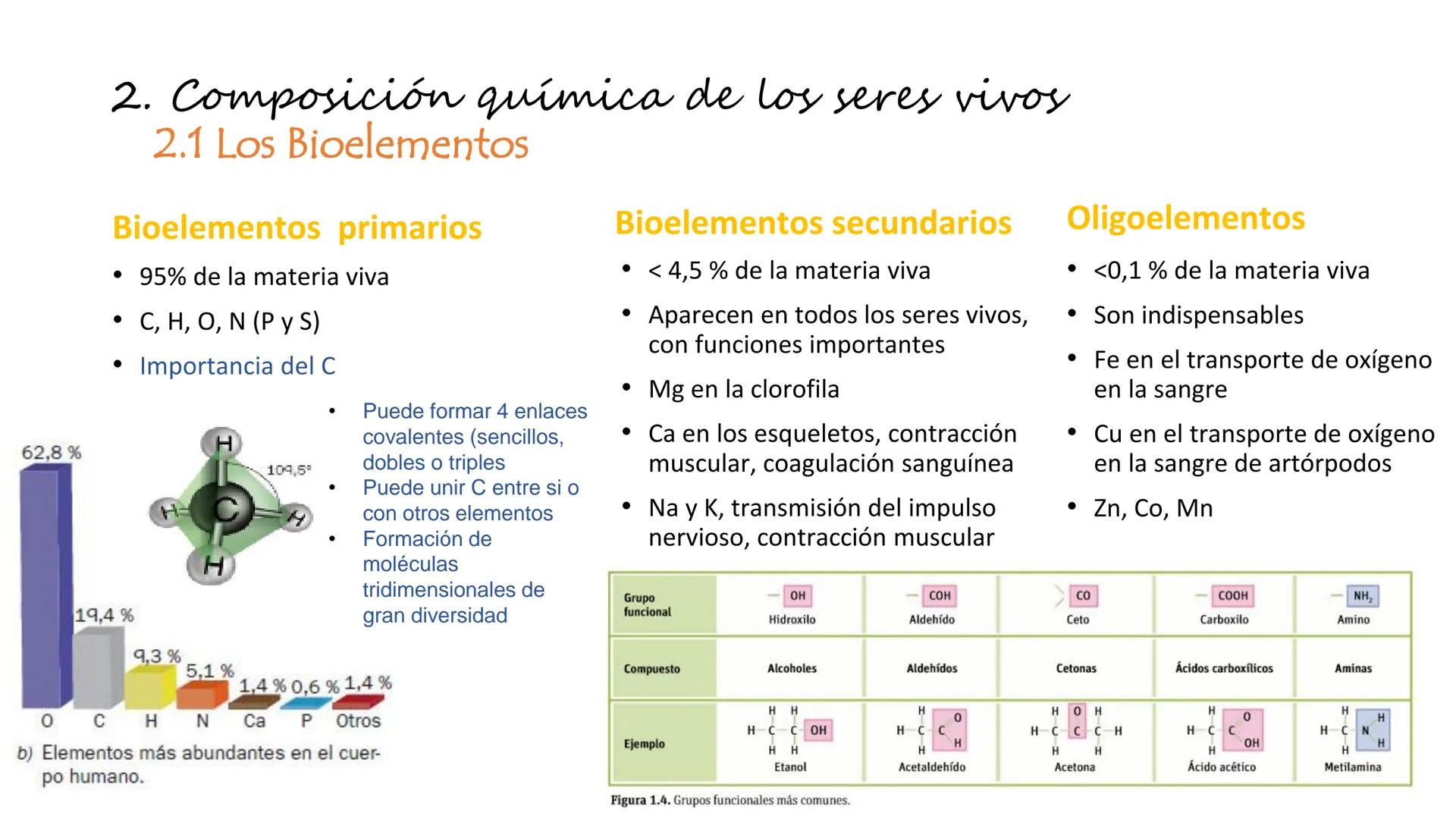 Carbohydrate
@amoebasisters
Nucleic Acid
Lipid
Protein
BIOMOLECULE BROS!
Tema 7
Introducción: La
unidad estructural y
funcional de la vid