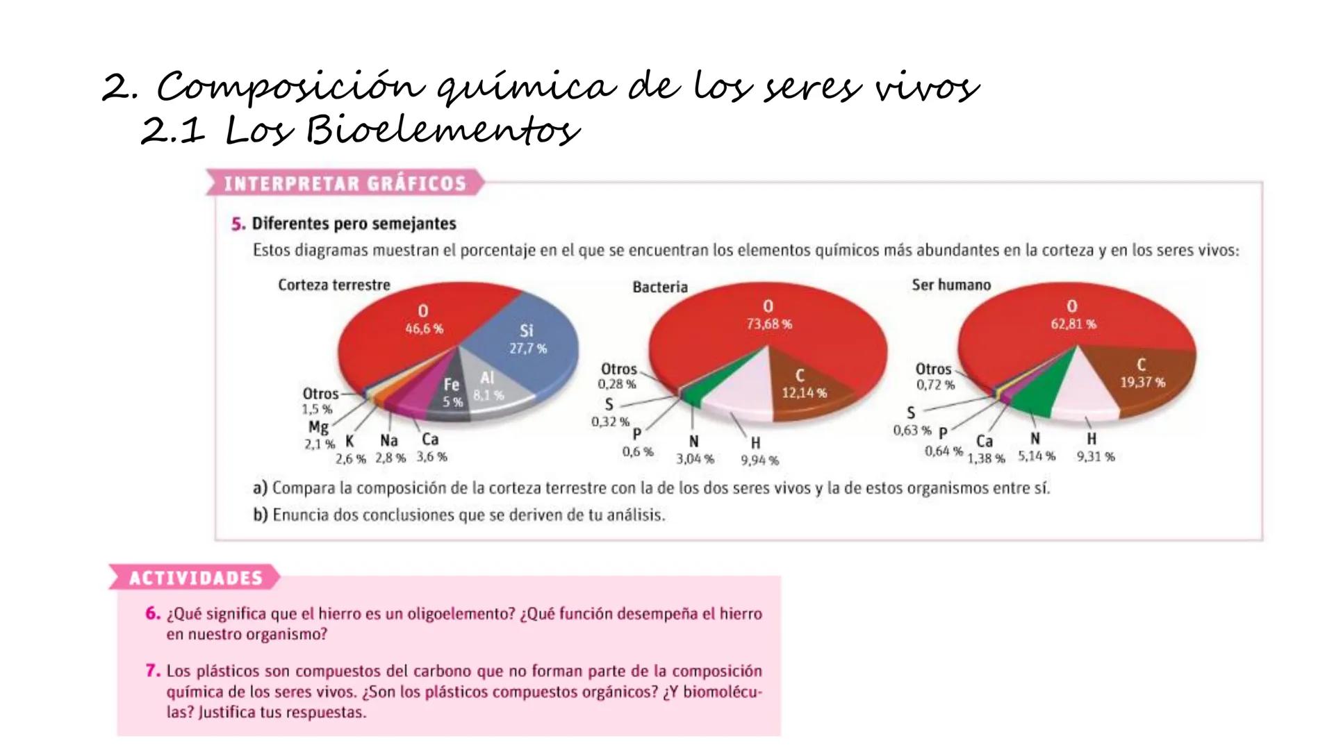 Carbohydrate
@amoebasisters
Nucleic Acid
Lipid
Protein
BIOMOLECULE BROS!
Tema 7
Introducción: La
unidad estructural y
funcional de la vid
