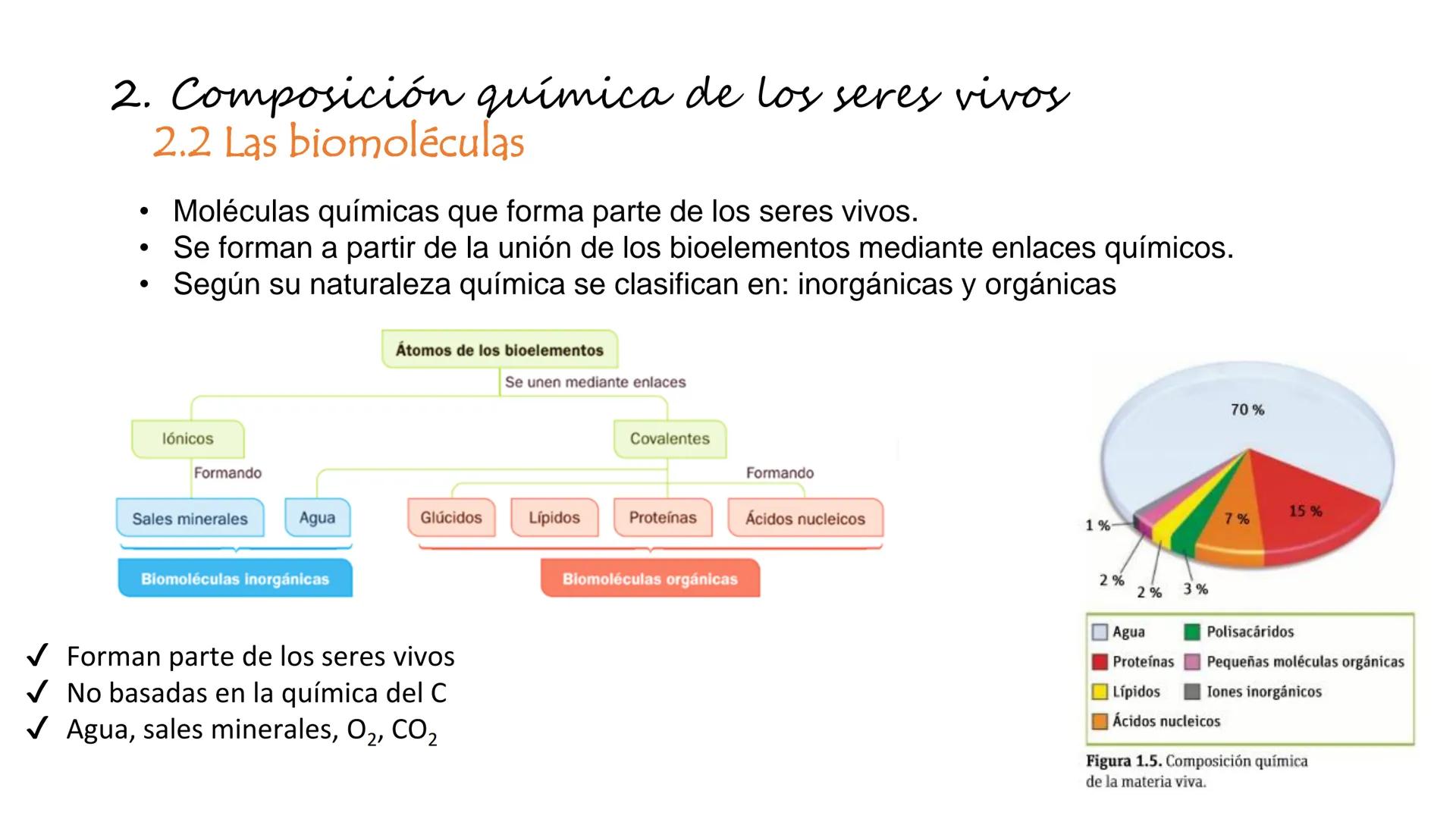 Carbohydrate
@amoebasisters
Nucleic Acid
Lipid
Protein
BIOMOLECULE BROS!
Tema 7
Introducción: La
unidad estructural y
funcional de la vid
