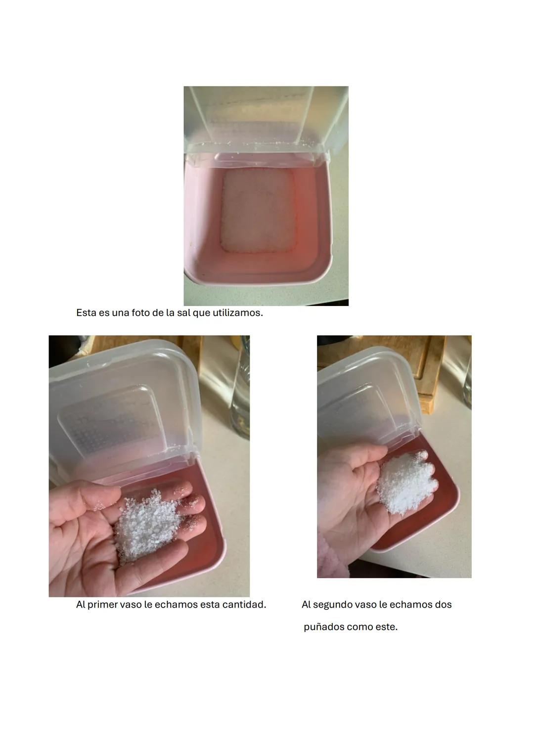 # TRABAJO SOBRE
# LA ÓSMOSIS
TRABAJO HECHO POR:
DANIEL SANCHEZ COCA
NATALIA MARTIN TORO
LUPE MENDEZ SERRANO EXPERIMENTO HUEVO
RESUMEN