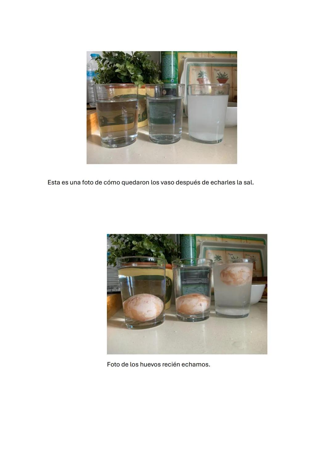 # TRABAJO SOBRE
# LA ÓSMOSIS
TRABAJO HECHO POR:
DANIEL SANCHEZ COCA
NATALIA MARTIN TORO
LUPE MENDEZ SERRANO EXPERIMENTO HUEVO
RESUMEN