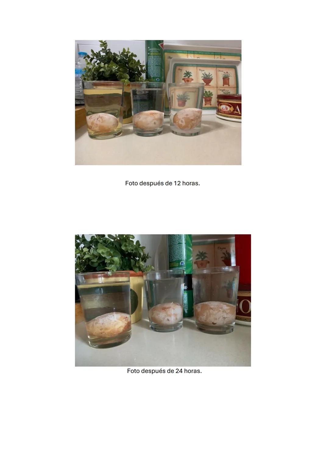 # TRABAJO SOBRE
# LA ÓSMOSIS
TRABAJO HECHO POR:
DANIEL SANCHEZ COCA
NATALIA MARTIN TORO
LUPE MENDEZ SERRANO EXPERIMENTO HUEVO
RESUMEN