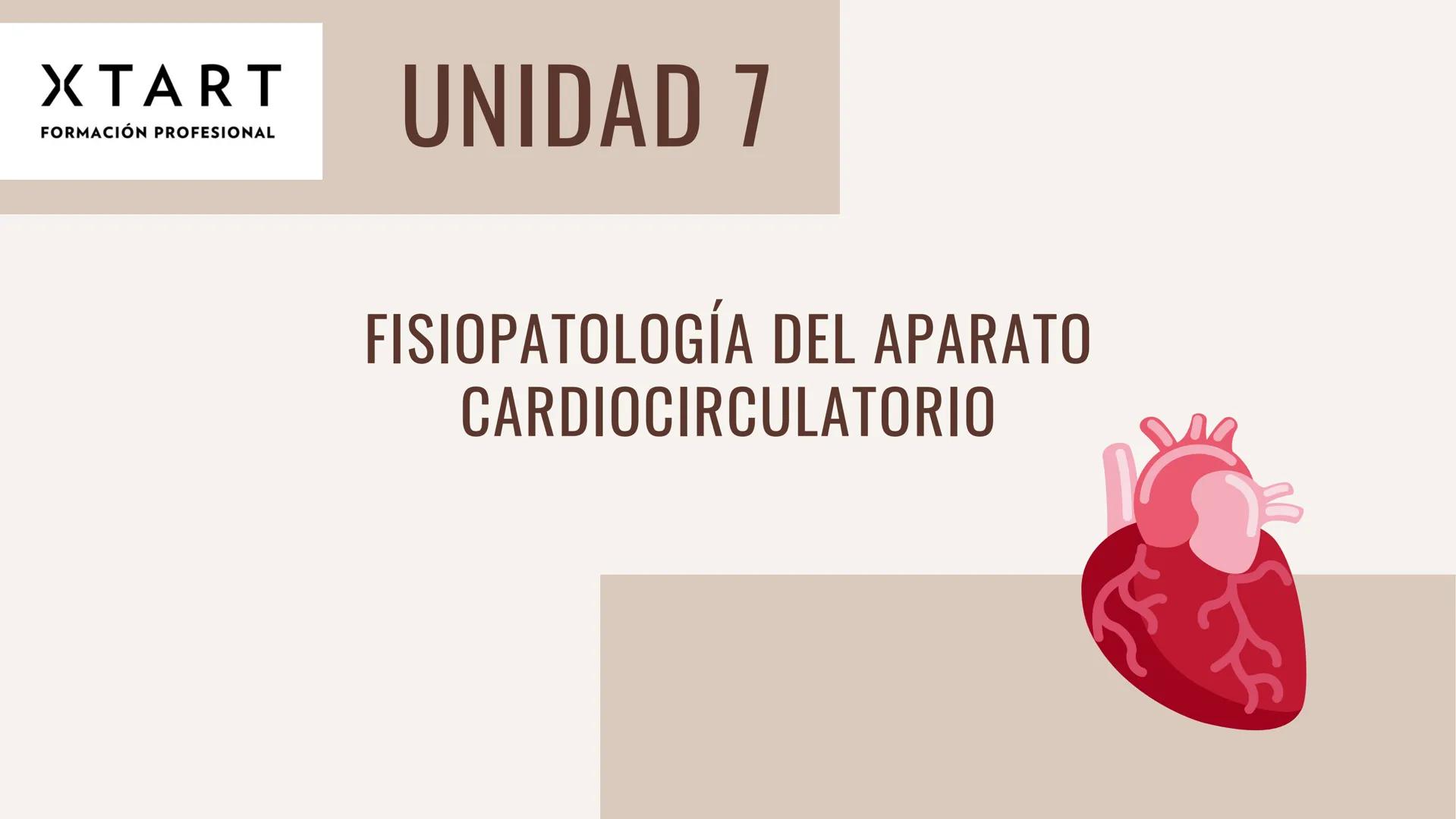 # XTART
FORMACIÓN PROFESIONAL
# UNIDAD 7
# FISIOPATOLOGÍA DEL APARATO
# CARDIOCIRCULATORIO Aparato cardiocirculatorio
Está formado por: