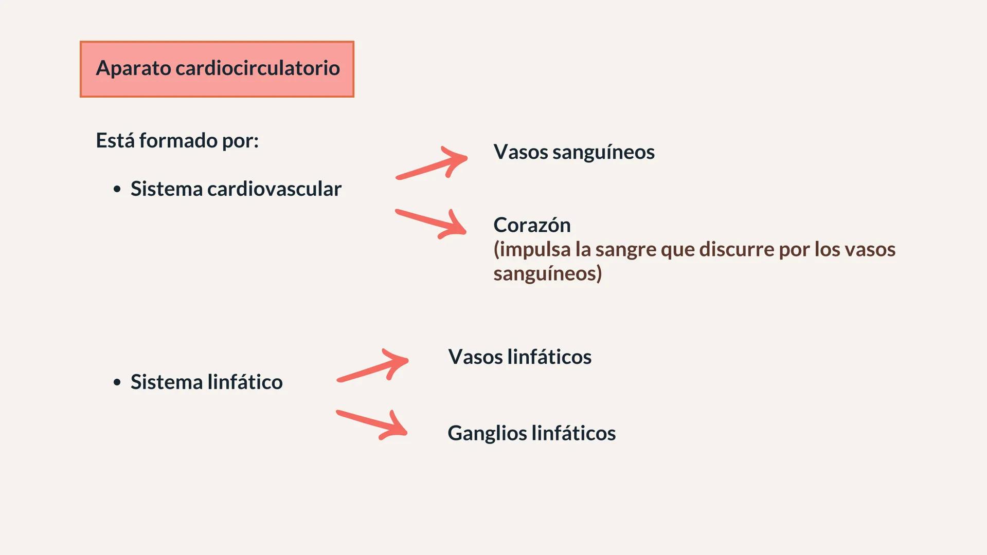 # XTART
FORMACIÓN PROFESIONAL
# UNIDAD 7
# FISIOPATOLOGÍA DEL APARATO
# CARDIOCIRCULATORIO Aparato cardiocirculatorio
Está formado por: