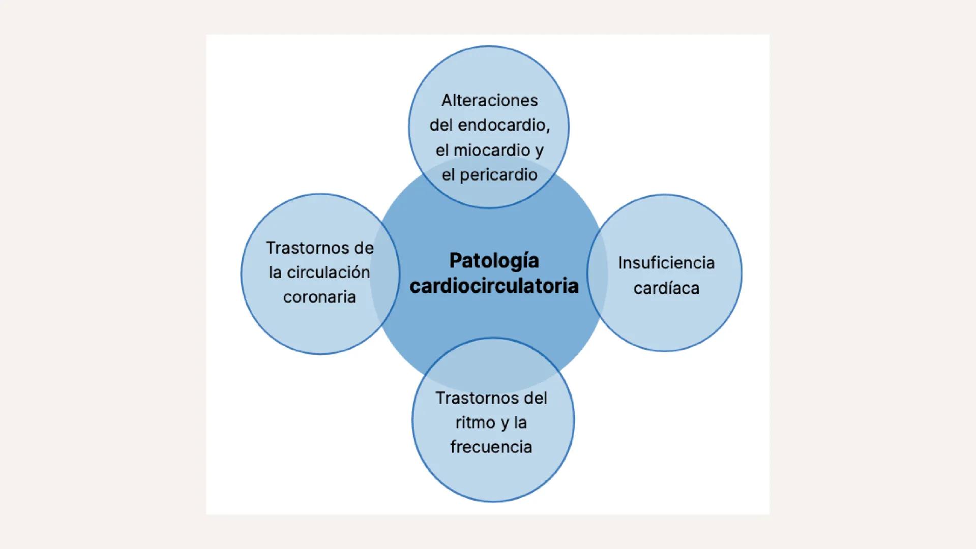 # XTART
FORMACIÓN PROFESIONAL
# UNIDAD 7
# FISIOPATOLOGÍA DEL APARATO
# CARDIOCIRCULATORIO Aparato cardiocirculatorio
Está formado por: