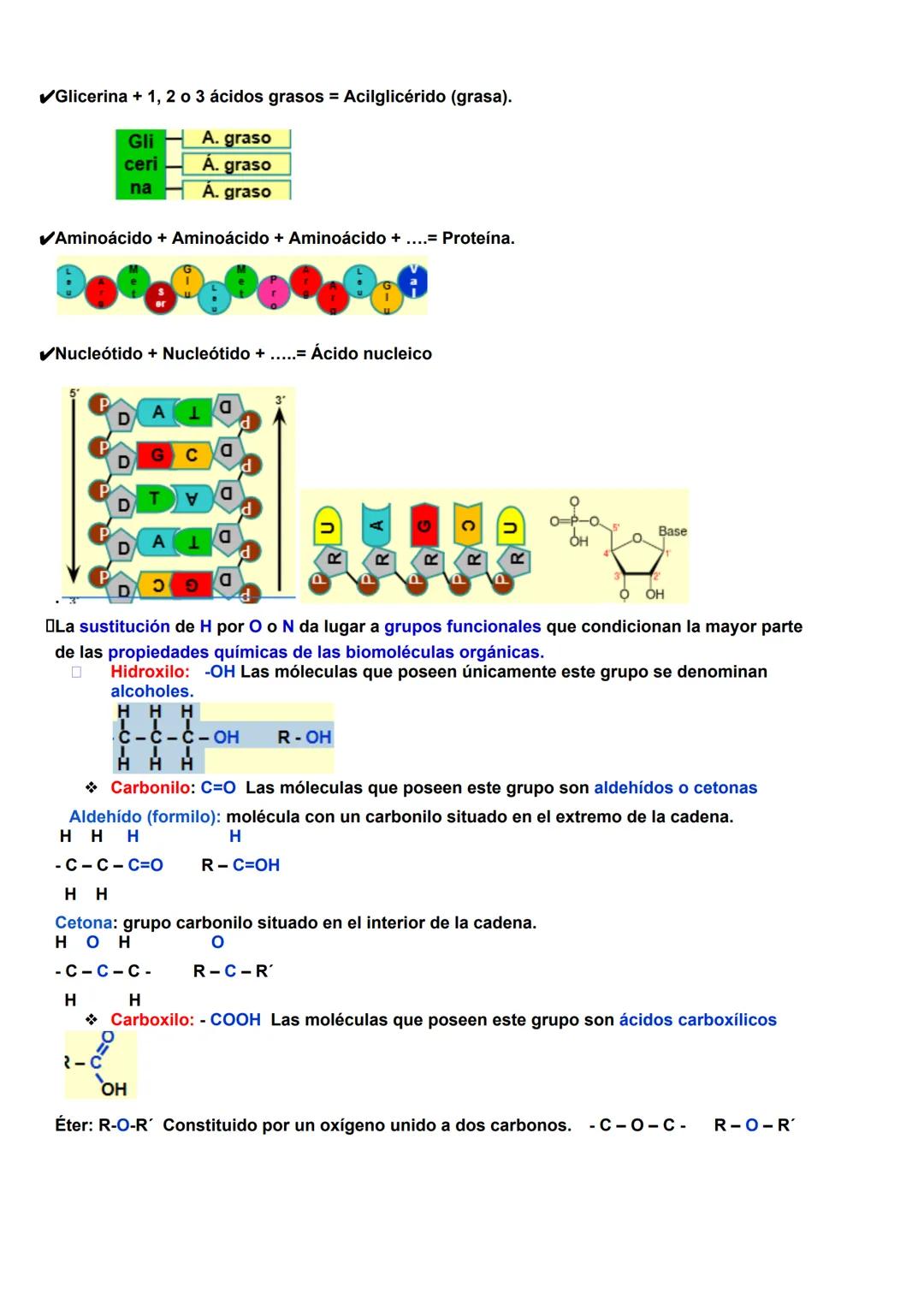 # BIOLOGÍA T1 BIOMOLÉCULAS
1- La vida y sus niveles de organización.
1.1-Características de los seres vivos.
Uniformidad y complejidad: