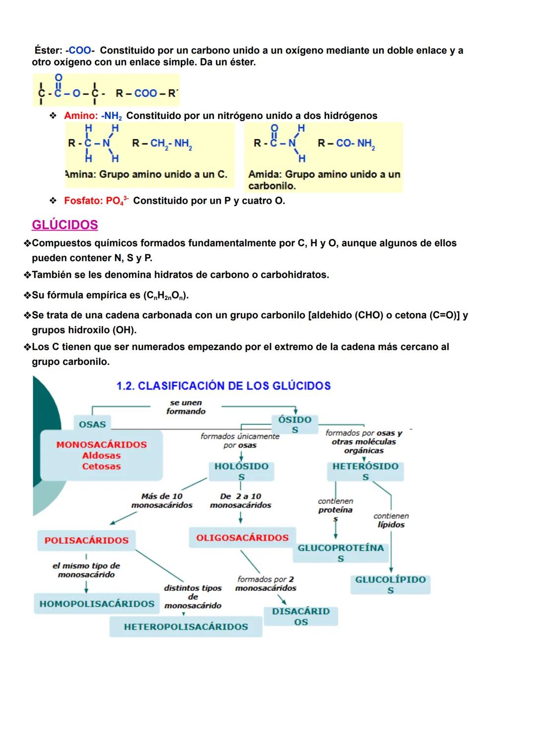 # BIOLOGÍA T1 BIOMOLÉCULAS
1- La vida y sus niveles de organización.
1.1-Características de los seres vivos.
Uniformidad y complejidad: