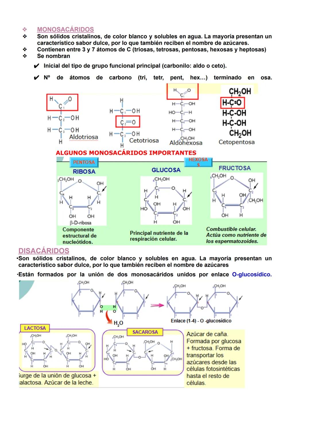 # BIOLOGÍA T1 BIOMOLÉCULAS
1- La vida y sus niveles de organización.
1.1-Características de los seres vivos.
Uniformidad y complejidad:
