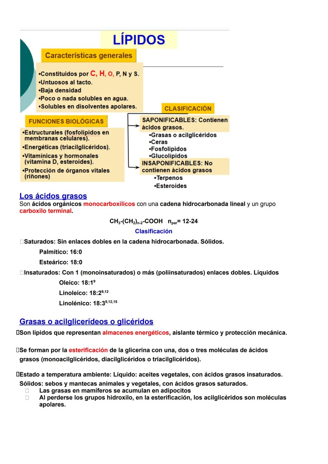 # BIOLOGÍA T1 BIOMOLÉCULAS
1- La vida y sus niveles de organización.
1.1-Características de los seres vivos.
Uniformidad y complejidad: