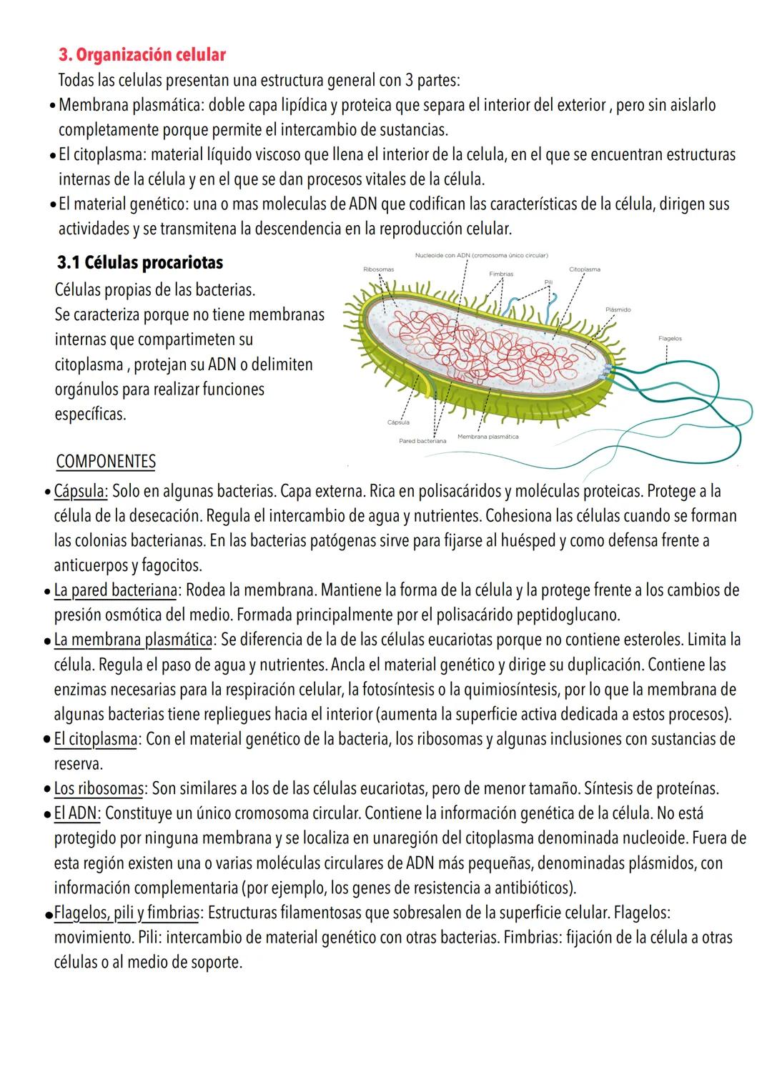 # Tema 4: La estructura de la célula
1. Teoría celular
La teoría celular afirma que la célula es la unidad estructural y funcional de los s