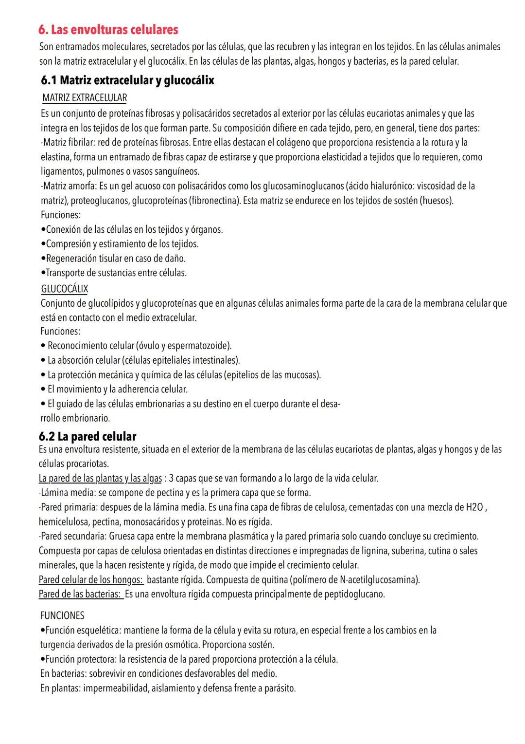 # Tema 4: La estructura de la célula
1. Teoría celular
La teoría celular afirma que la célula es la unidad estructural y funcional de los s