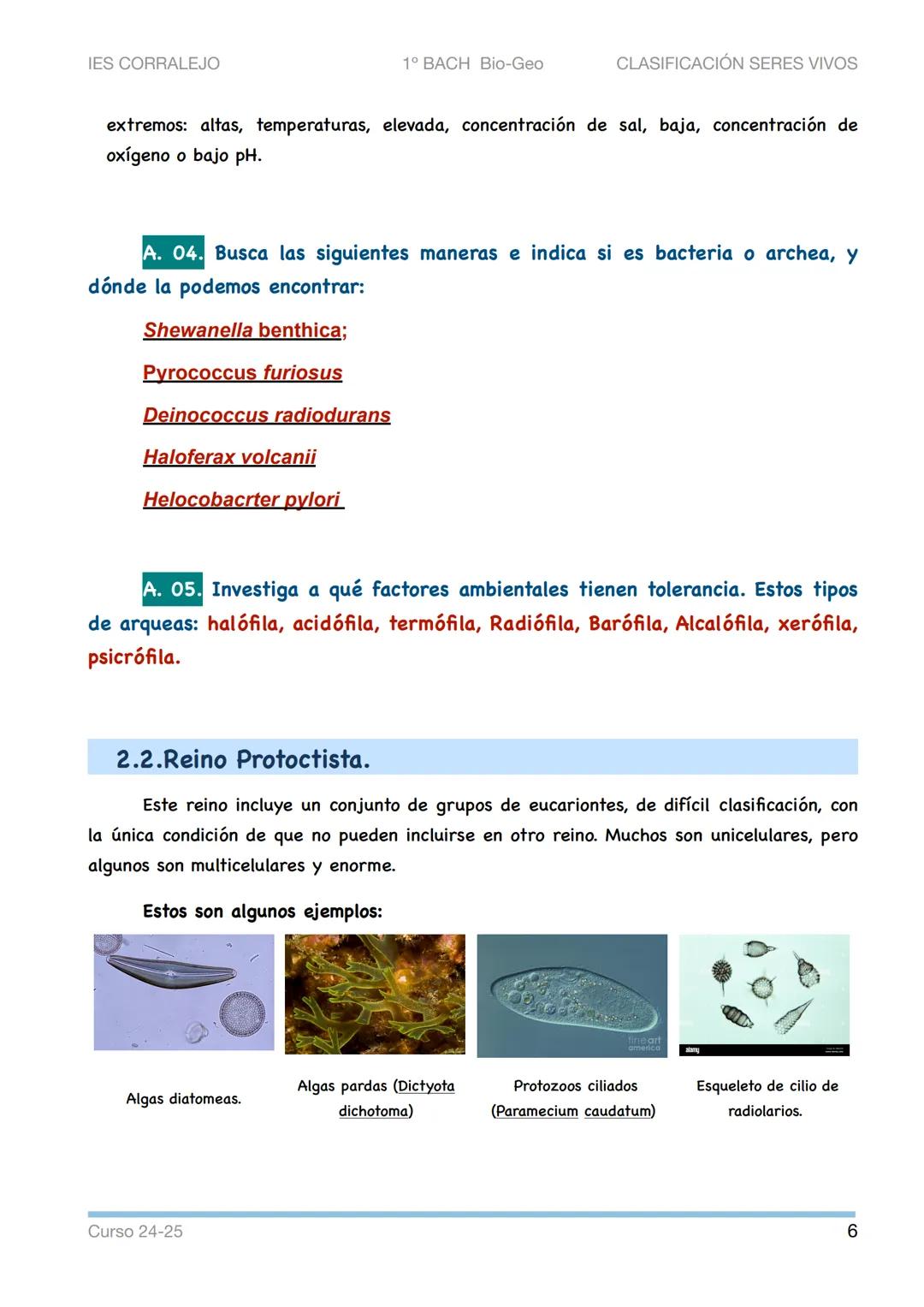 --- OCR Start ---
IES CORRALEJO
1º BACH Bio-Geo
CLASIFICACIÓN SERES VIVOS
CLASIFICACIÓN DE LOS SERES VIVOS
1. La taxonomía
¿Cómo se puede po