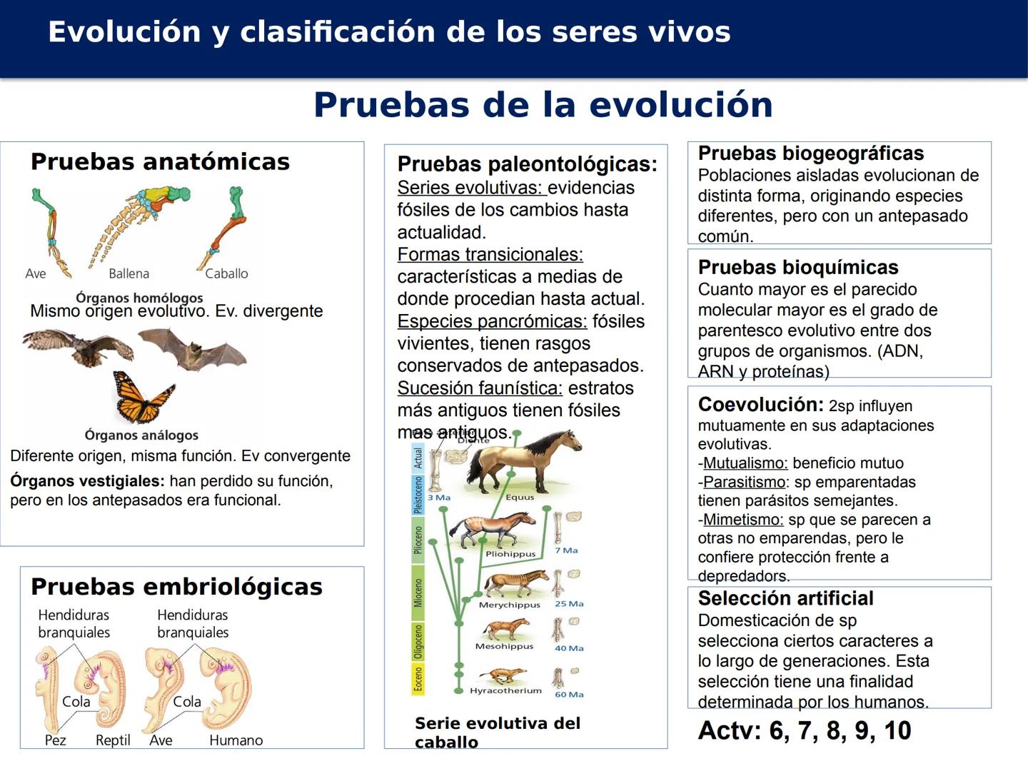 # Evolución y
clasificación de
los seres vivos
Biología, Geología y
Ciencias
Ambientales
1º Bachillerato MINA # Evolución y clasificación d