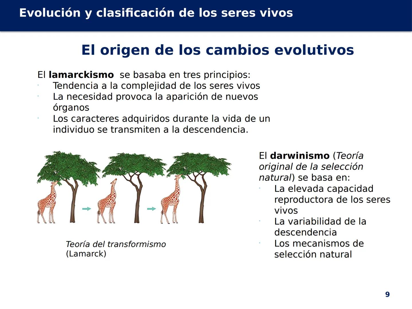 # Evolución y
clasificación de
los seres vivos
Biología, Geología y
Ciencias
Ambientales
1º Bachillerato MINA # Evolución y clasificación d