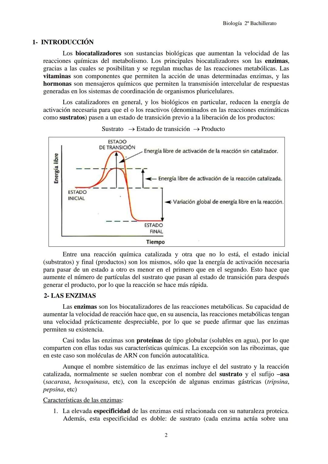 Biología 2º Bachillerato
# TEMA 3C: ENZIMAS
1- INTRODUCCIÓN
2- LAS ENZIMAS
3- MECANISMO DE ACCIÓN ENZIMÁTICA
4- FACTORES QUE INFLUYEN E