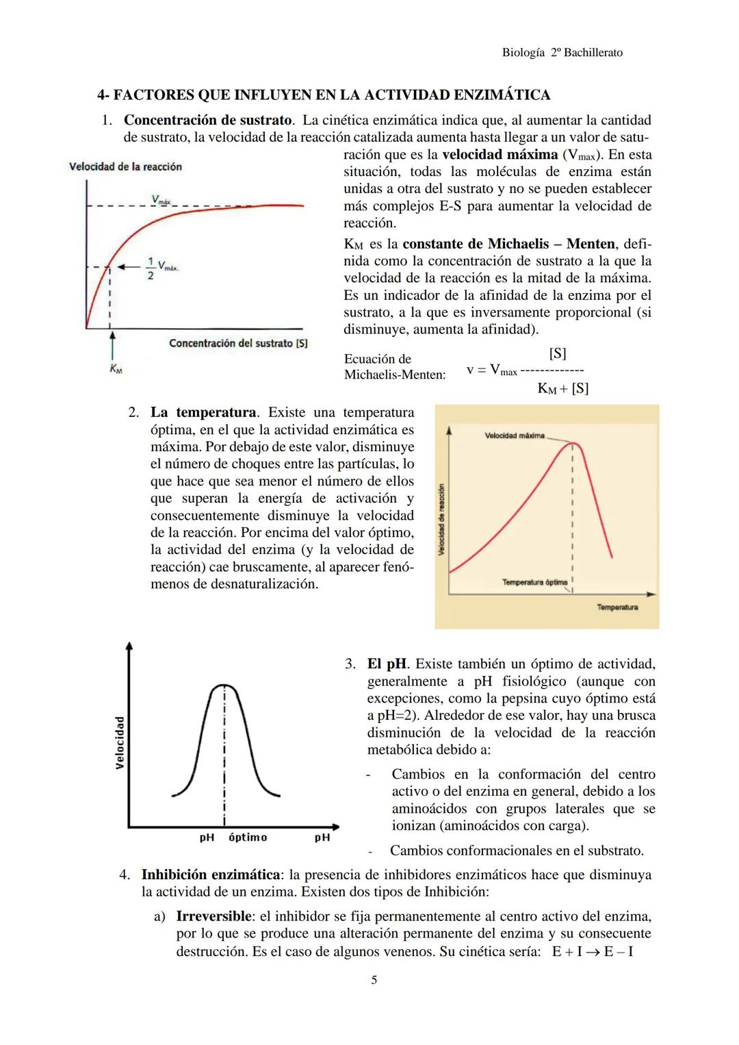Biología 2º Bachillerato
# TEMA 3C: ENZIMAS
1- INTRODUCCIÓN
2- LAS ENZIMAS
3- MECANISMO DE ACCIÓN ENZIMÁTICA
4- FACTORES QUE INFLUYEN E