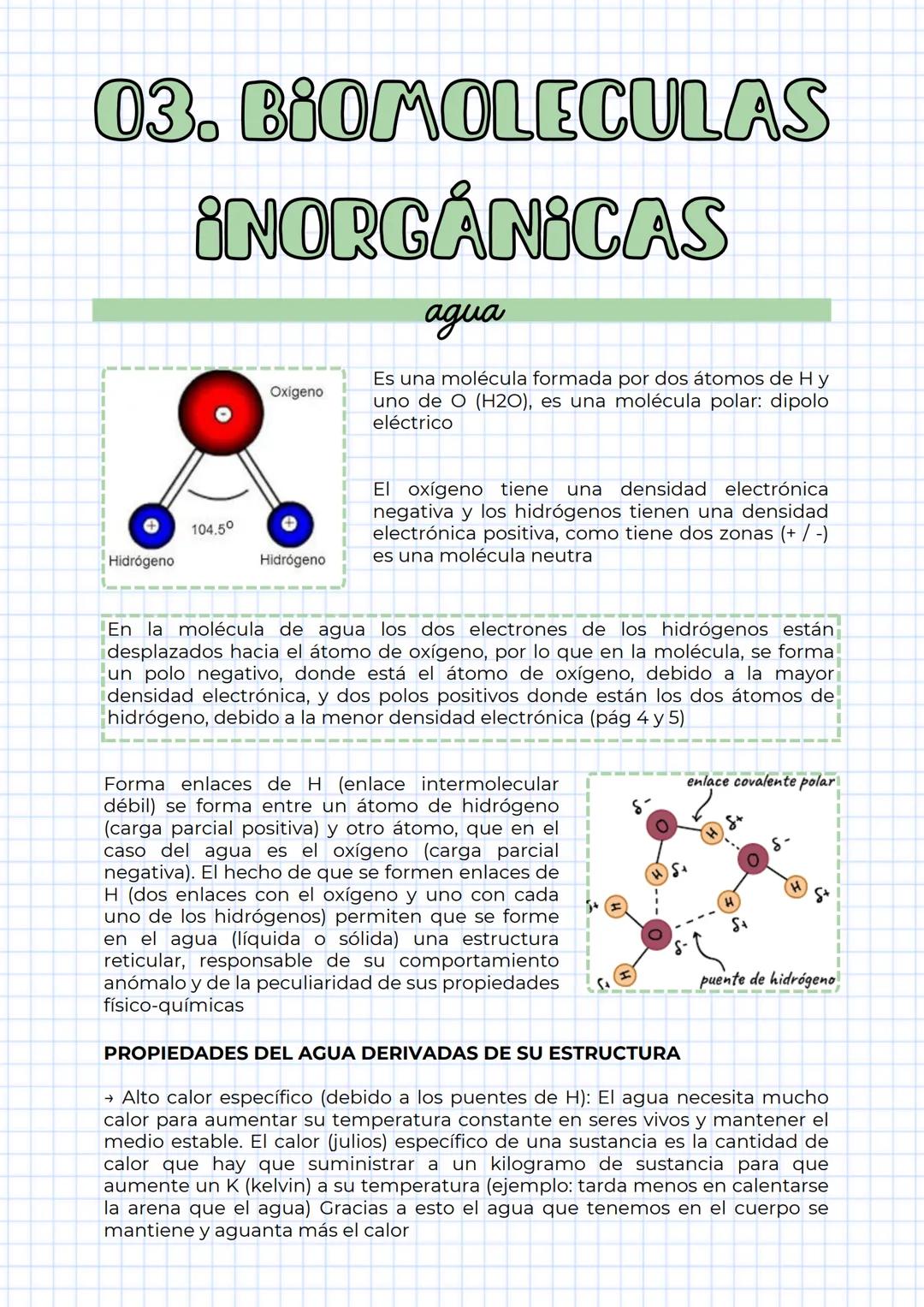 # TEMA 1
LA COMPOSICIÓN
QUÍMICA DE LOS
SERES VIVOS # 01. VIDA
es el grado de organización que conlleva tres requisitos básicos:
1. ambiente