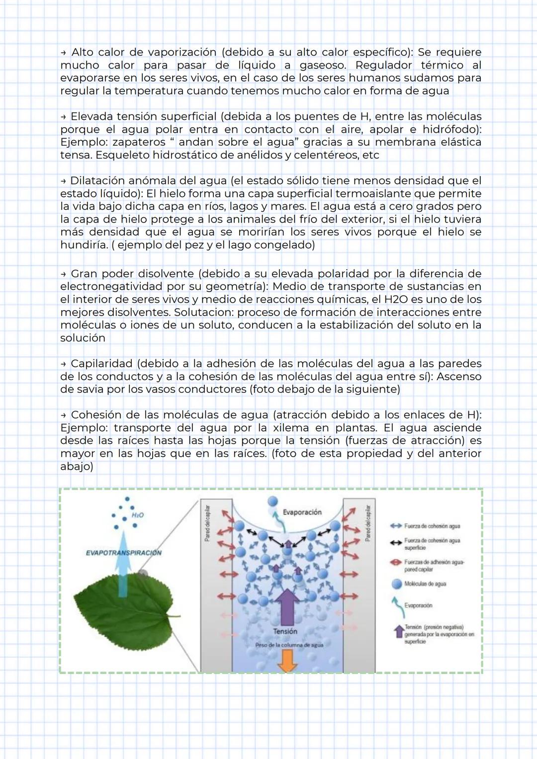 # TEMA 1
LA COMPOSICIÓN
QUÍMICA DE LOS
SERES VIVOS # 01. VIDA
es el grado de organización que conlleva tres requisitos básicos:
1. ambiente