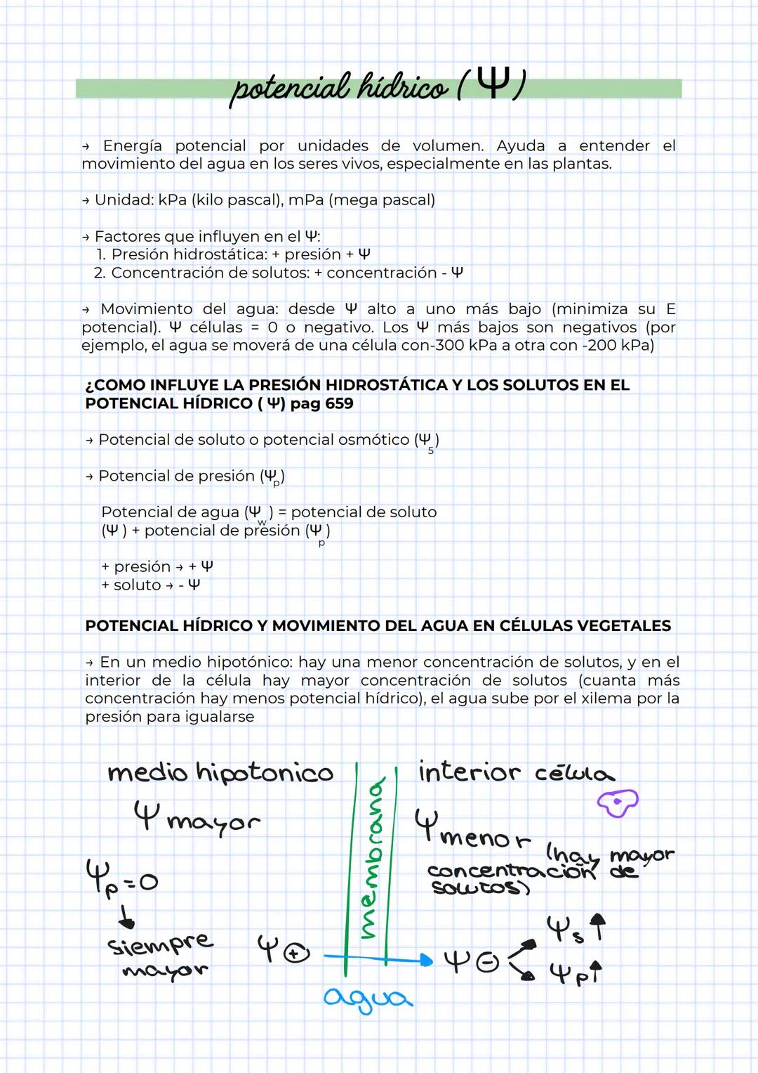 # TEMA 1
LA COMPOSICIÓN
QUÍMICA DE LOS
SERES VIVOS # 01. VIDA
es el grado de organización que conlleva tres requisitos básicos:
1. ambiente