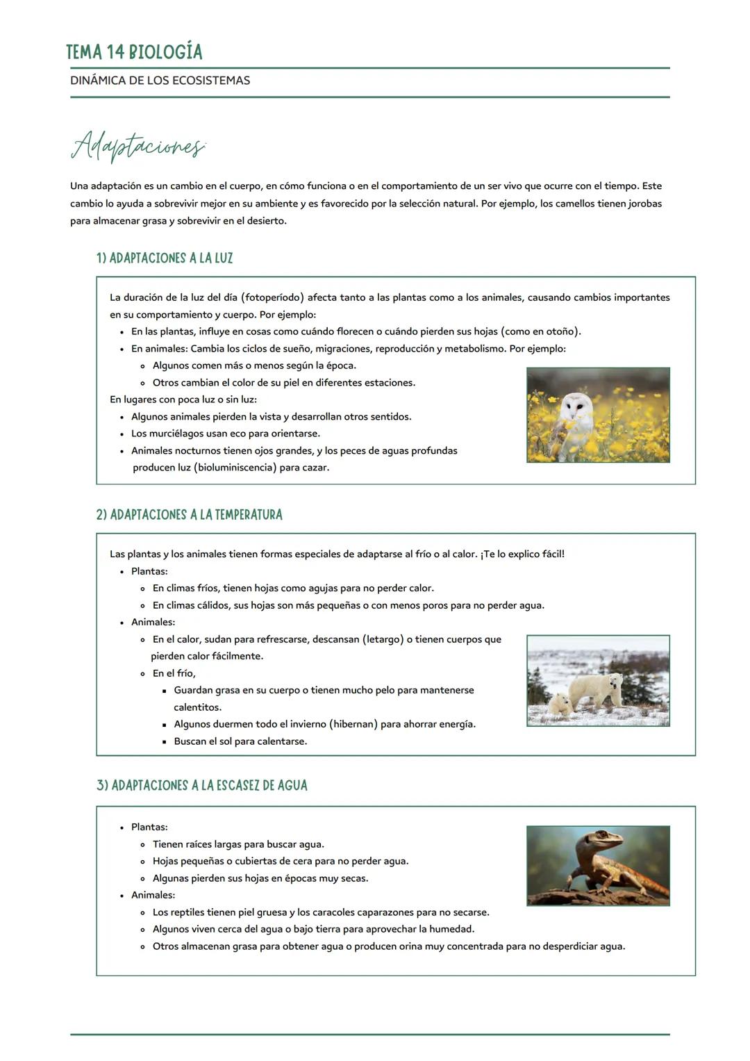 # TEMA 14 BIOLOGÍA
DINÁMICA DE LOS ECOSISTEMAS
EXTRA: MEDIOAMBIENTE
Conjunto de componentes físicos, químicos, biológicos y sociales capace
