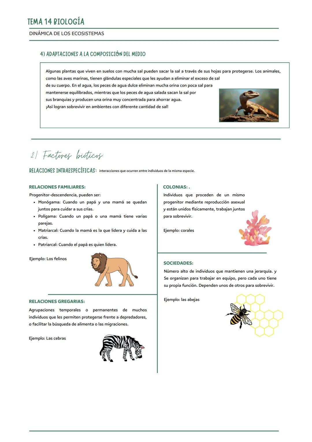 # TEMA 14 BIOLOGÍA
DINÁMICA DE LOS ECOSISTEMAS
EXTRA: MEDIOAMBIENTE
Conjunto de componentes físicos, químicos, biológicos y sociales capace