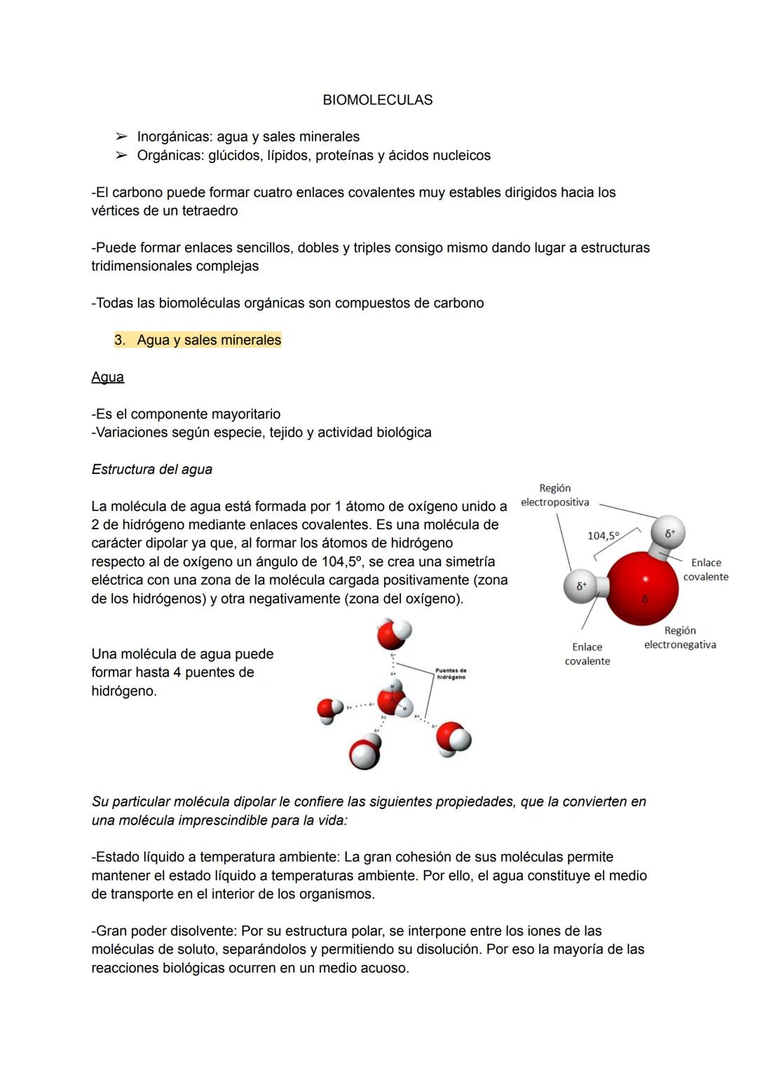 # TEMA 8 NIVELES DE ORGANIZACIÓN DE LOS
SERES VIVOS
1. Los seres vivos y su organización
Un ser vivo es un sistema de organización molecul
