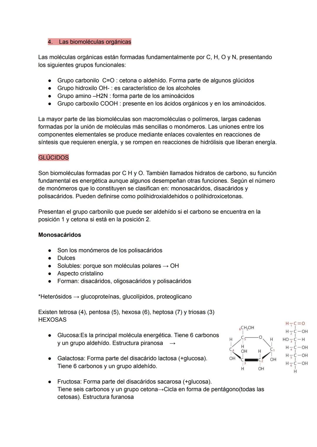 # TEMA 8 NIVELES DE ORGANIZACIÓN DE LOS
SERES VIVOS
1. Los seres vivos y su organización
Un ser vivo es un sistema de organización molecul