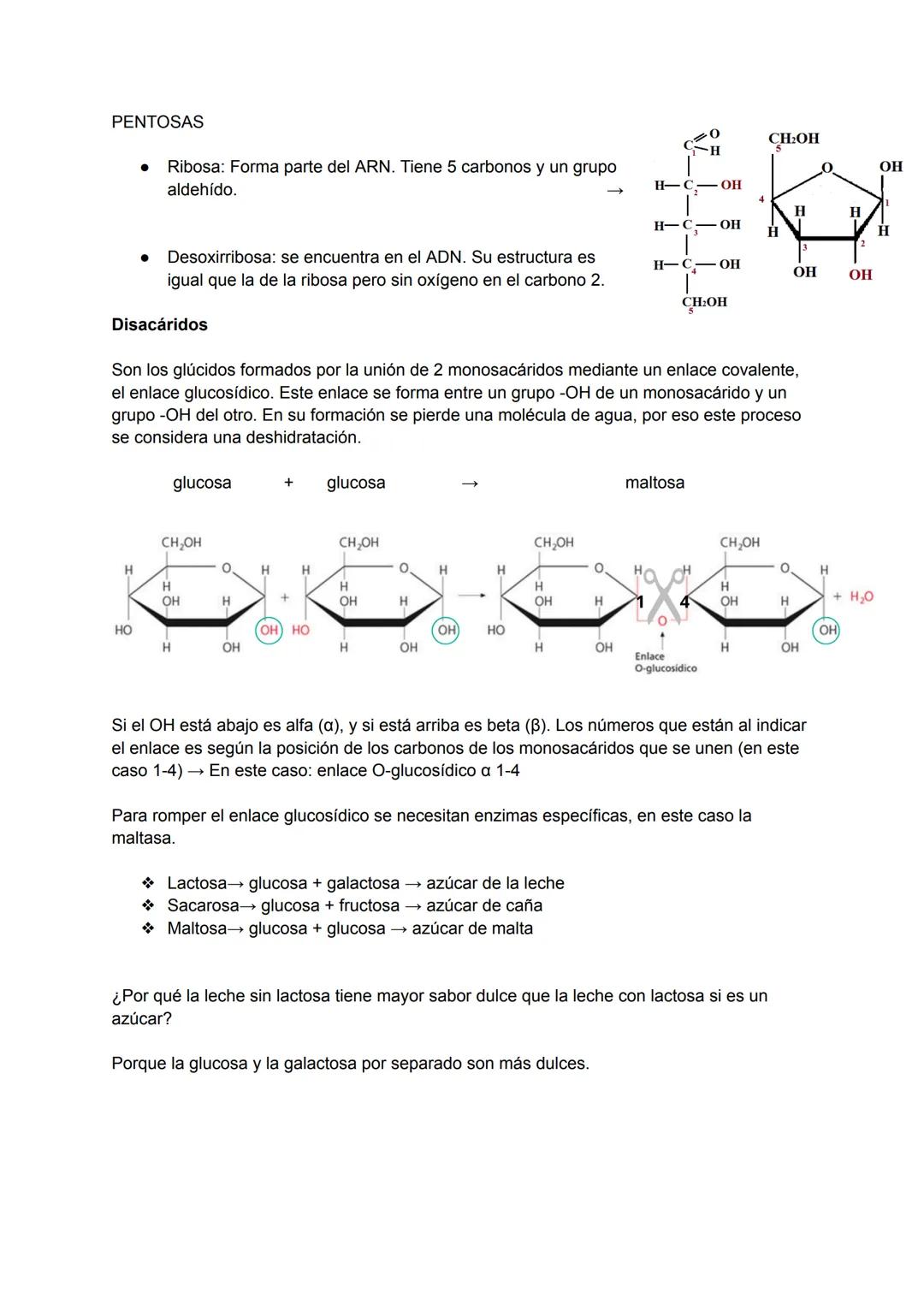 # TEMA 8 NIVELES DE ORGANIZACIÓN DE LOS
SERES VIVOS
1. Los seres vivos y su organización
Un ser vivo es un sistema de organización molecul