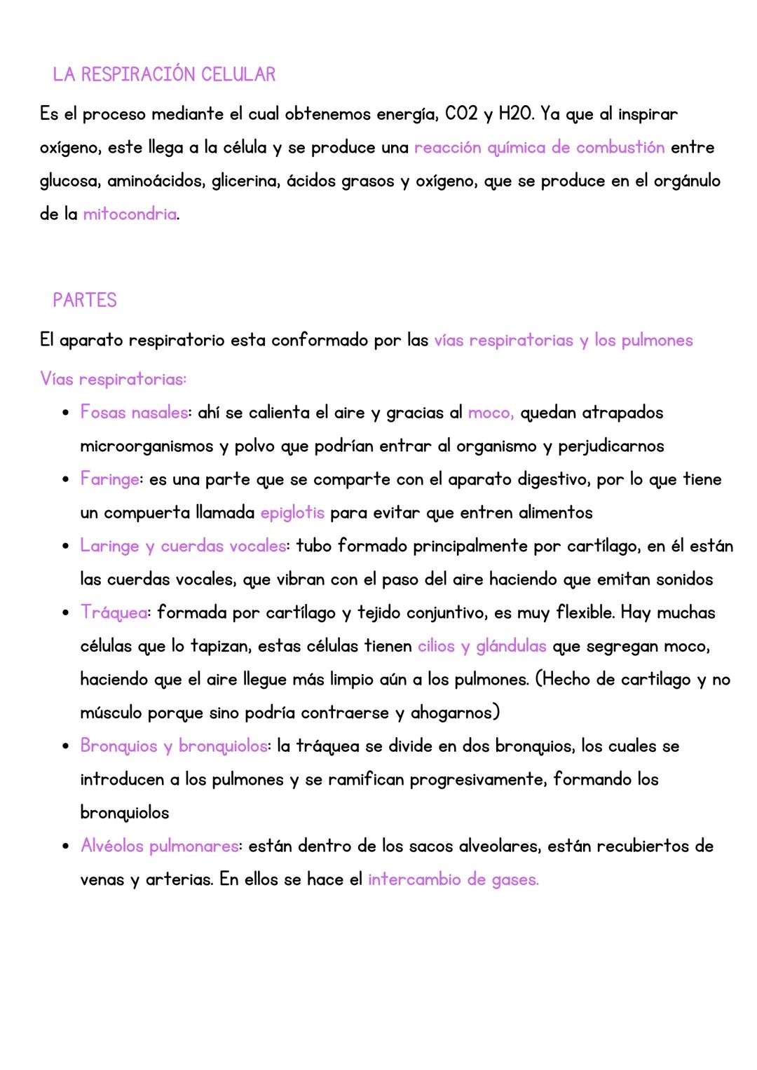 # EL APARATO RESPIRATORIO
El aparato respiratorio tiene una doble función:
* Intercambio de gases: hace que el dióxido de carbono sea re