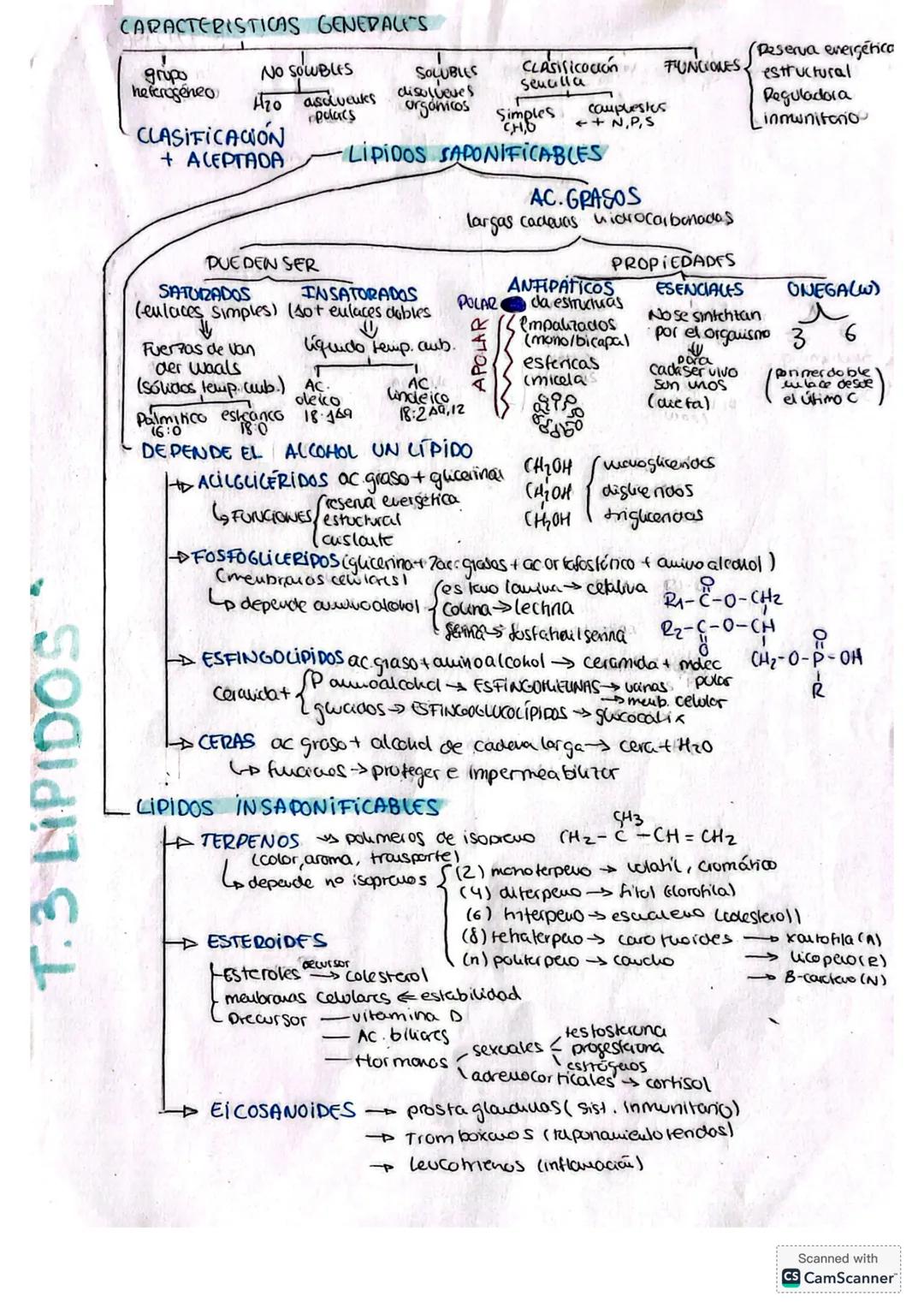 # CARACTERISTICAS GENERALES
grupo
heterogeneo
CLASIFICACIÓN
+ ACEPTADA
NO SOLUBLES
SOLUBLES
CLASiSicoción
Senalla
Hzo disolveuks
polac