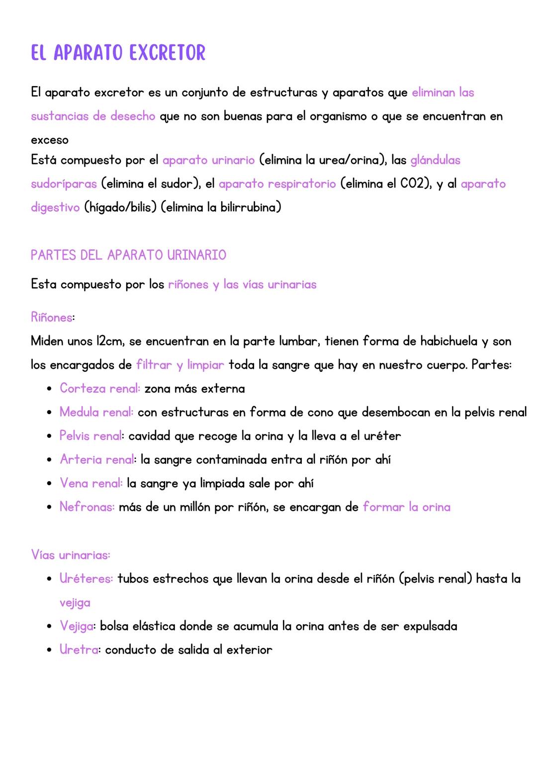 # EL APARATO EXCRETOR
El aparato excretor es un conjunto de estructuras y aparatos que eliminan las
sustancias de desecho que no son buenas