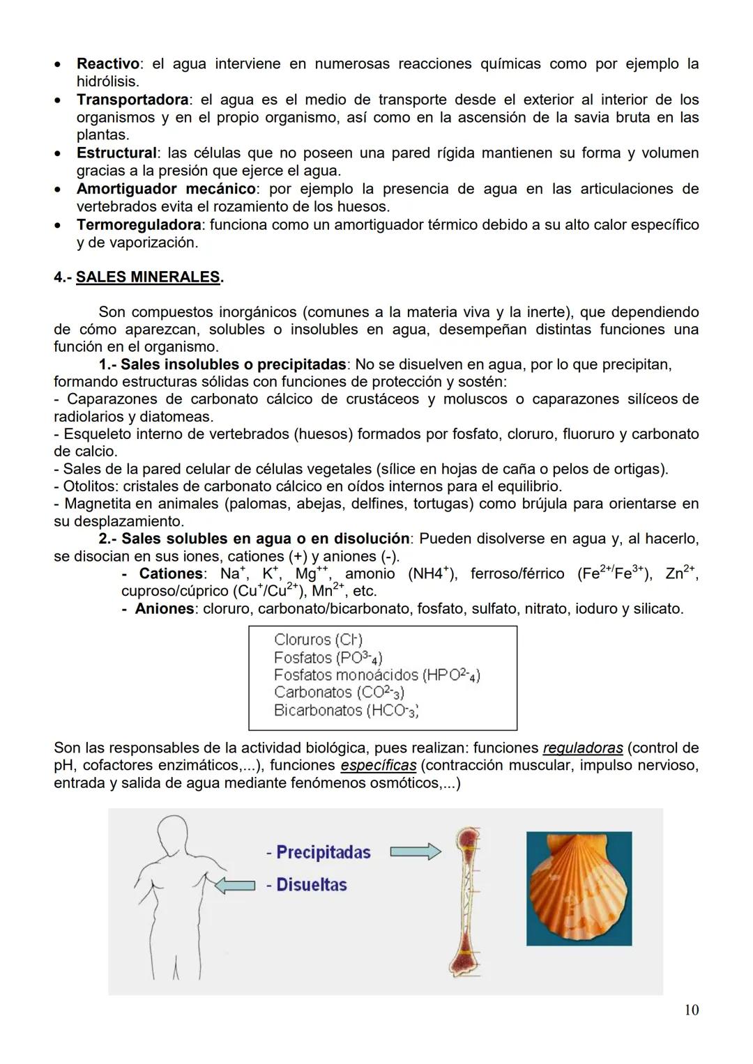 # TEMA 1: LOS BIOELEMENTOS, EL AGUA Y LAS SALES MINERALES
1.- LOS ENLACES QUÍMICOS Y SU IMPORTANCIA BIOLÓGICA.
De todos los elementos que e